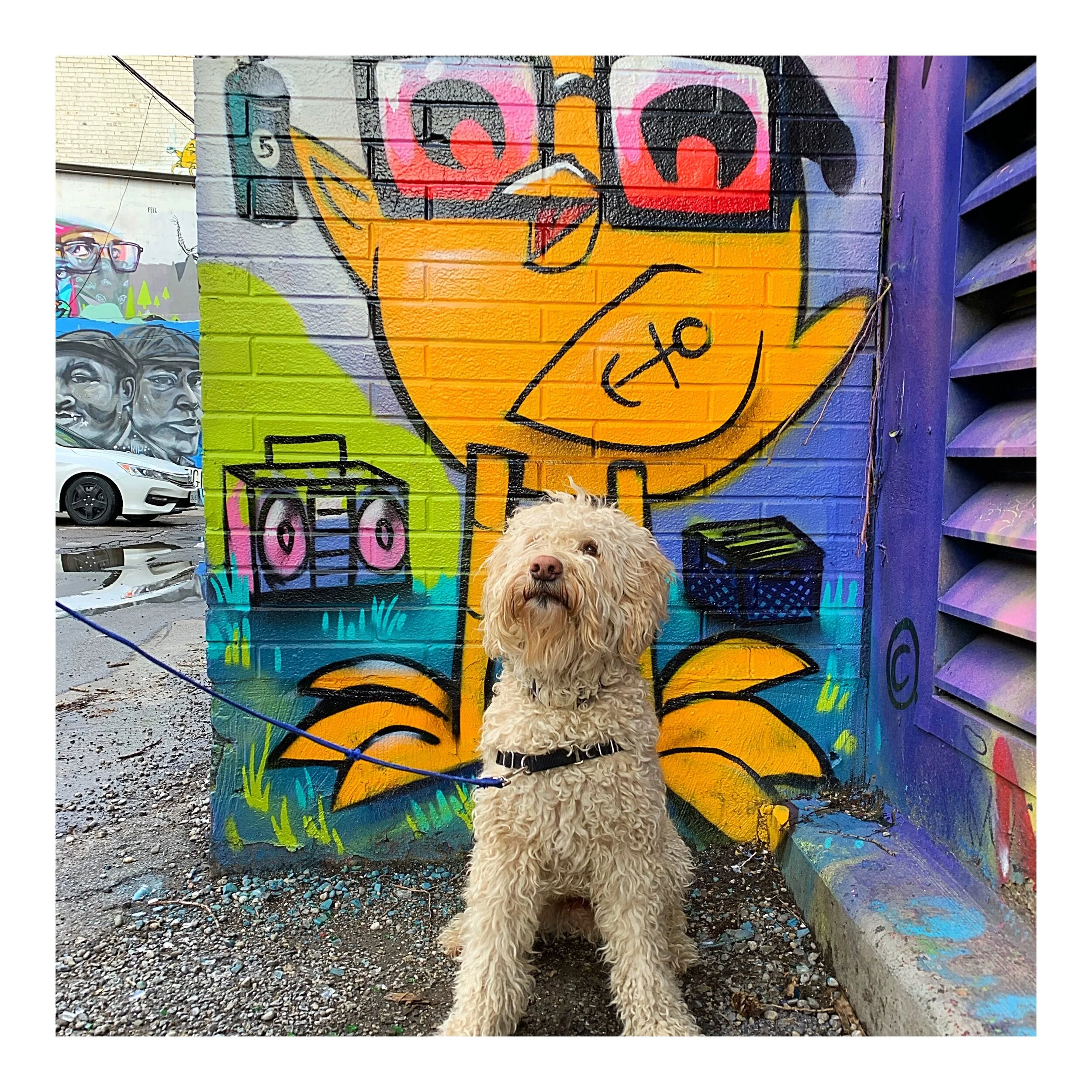 Whitagram-Image (54).JPG