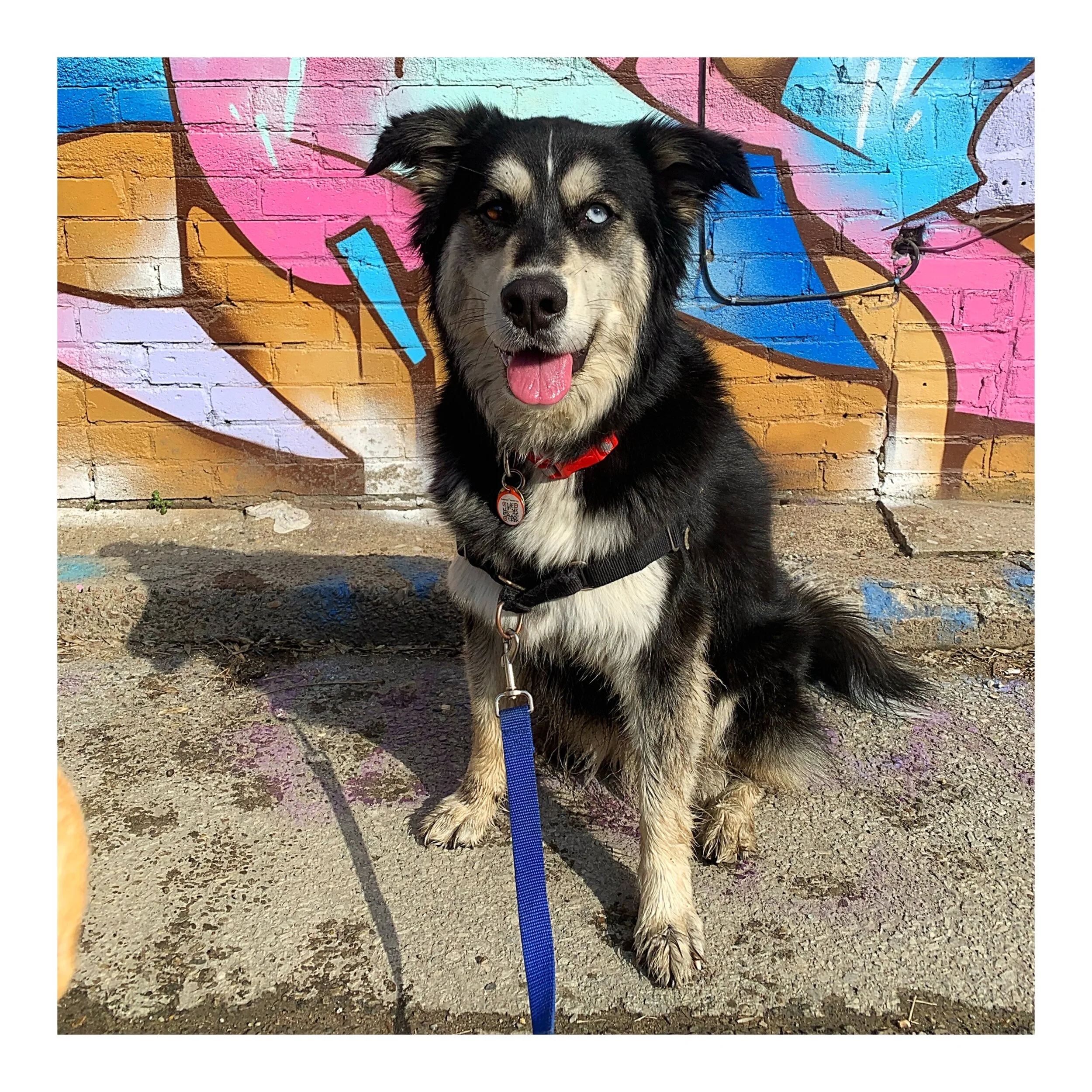 Whitagram-Image (56).JPG