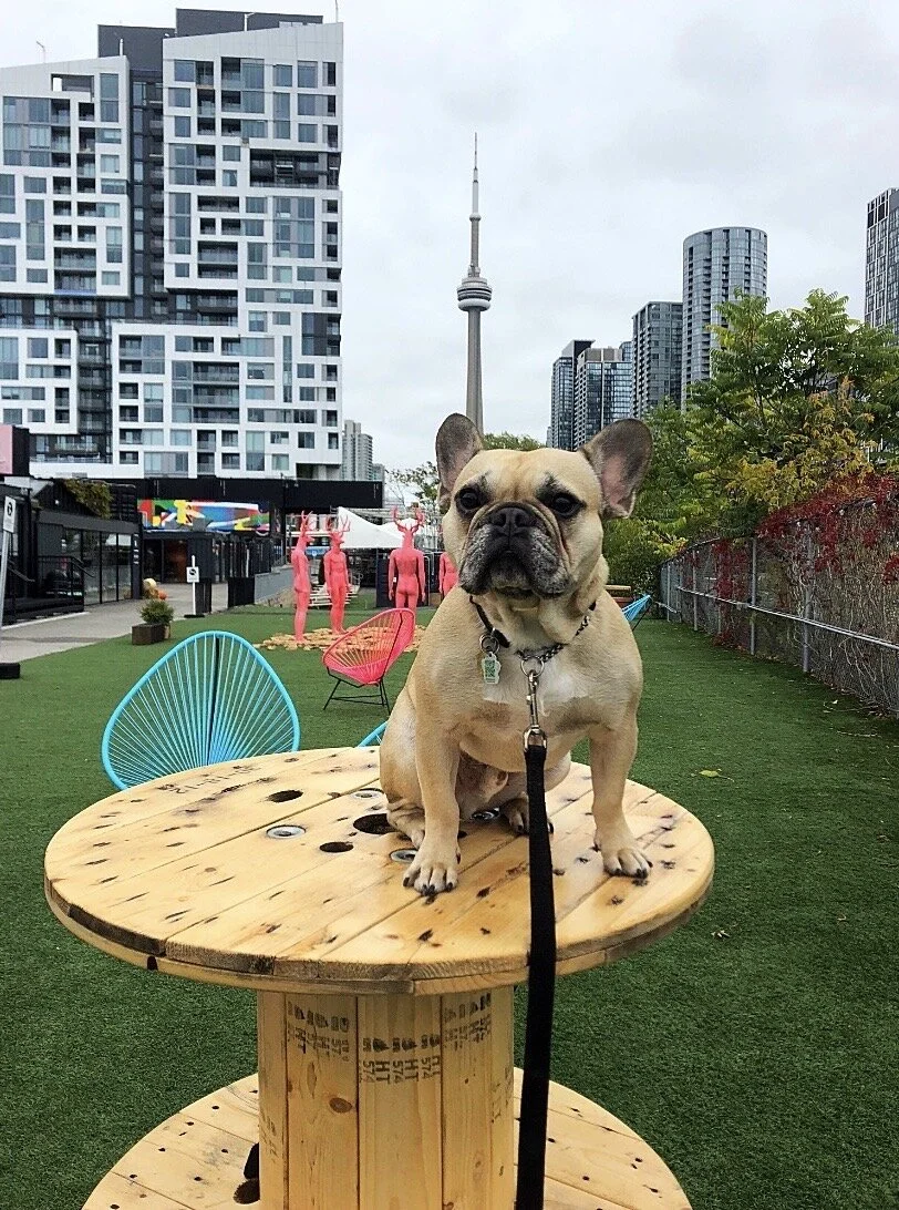 Whitagram-Image (6).JPG