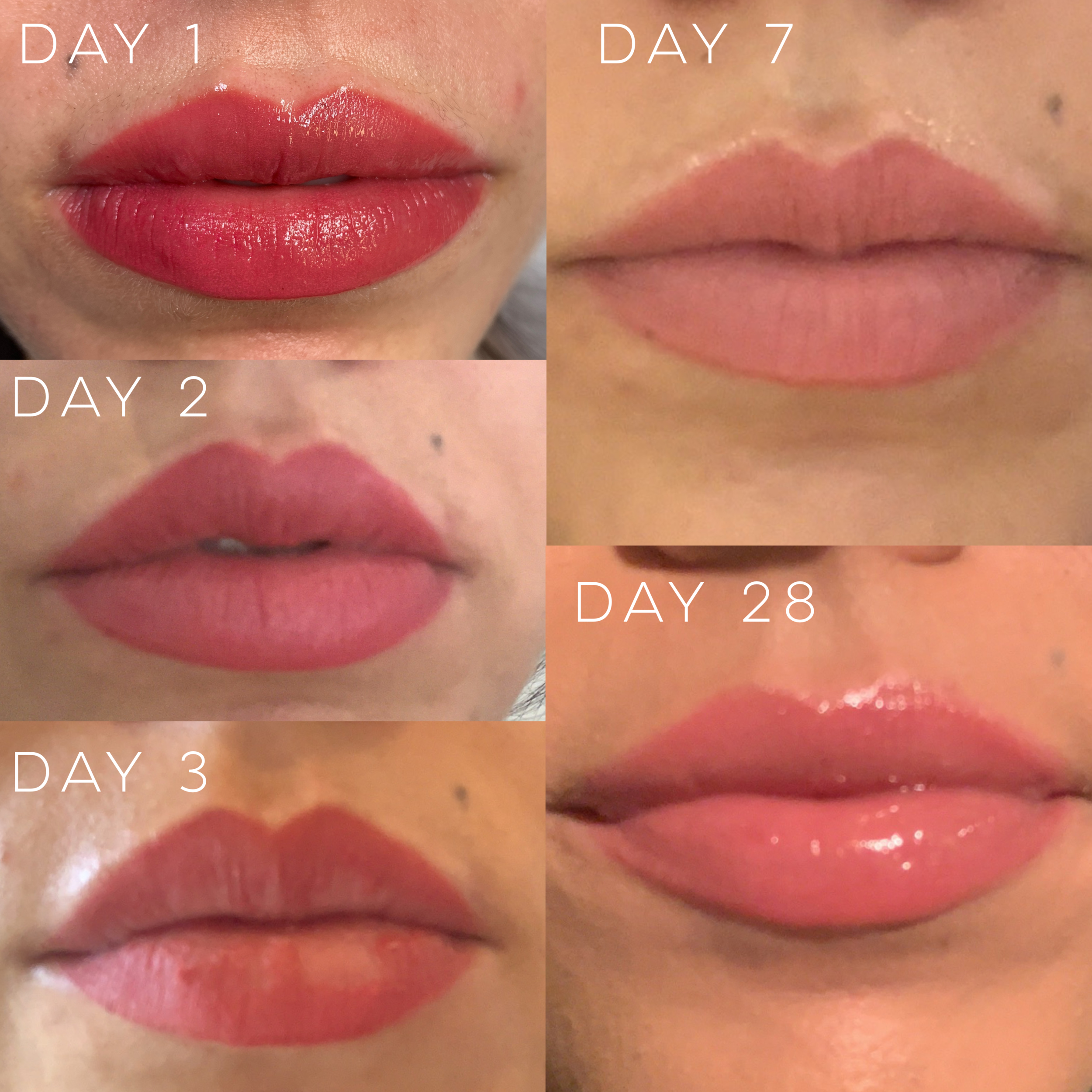 Lip Blush Healing