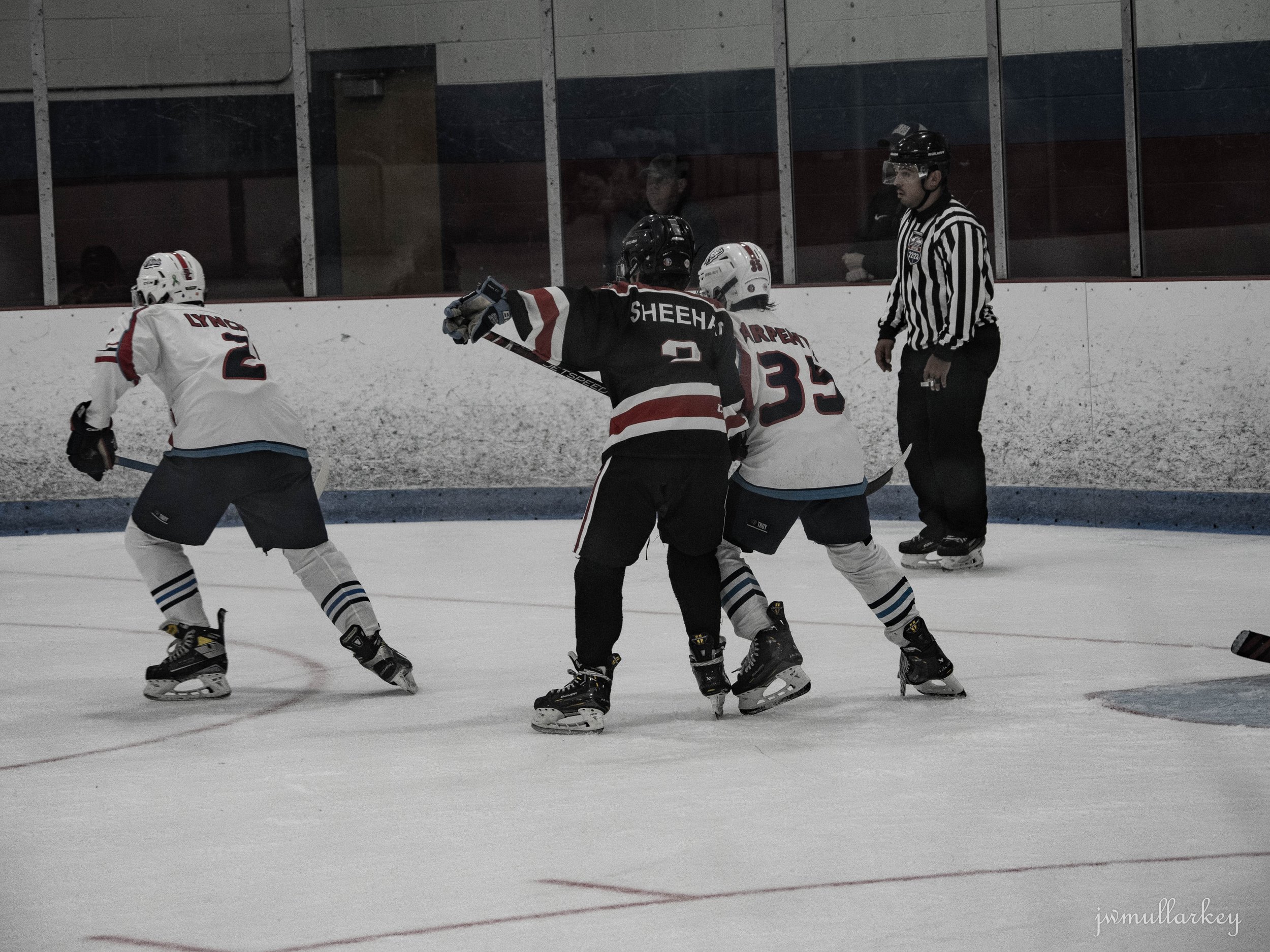 20230909-P9090467-2.JPG