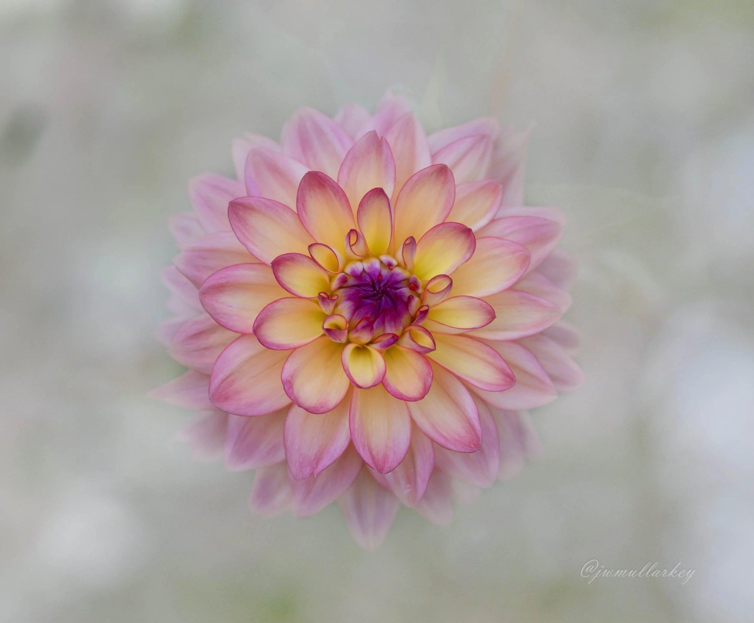 P9080517-Edit.JPG