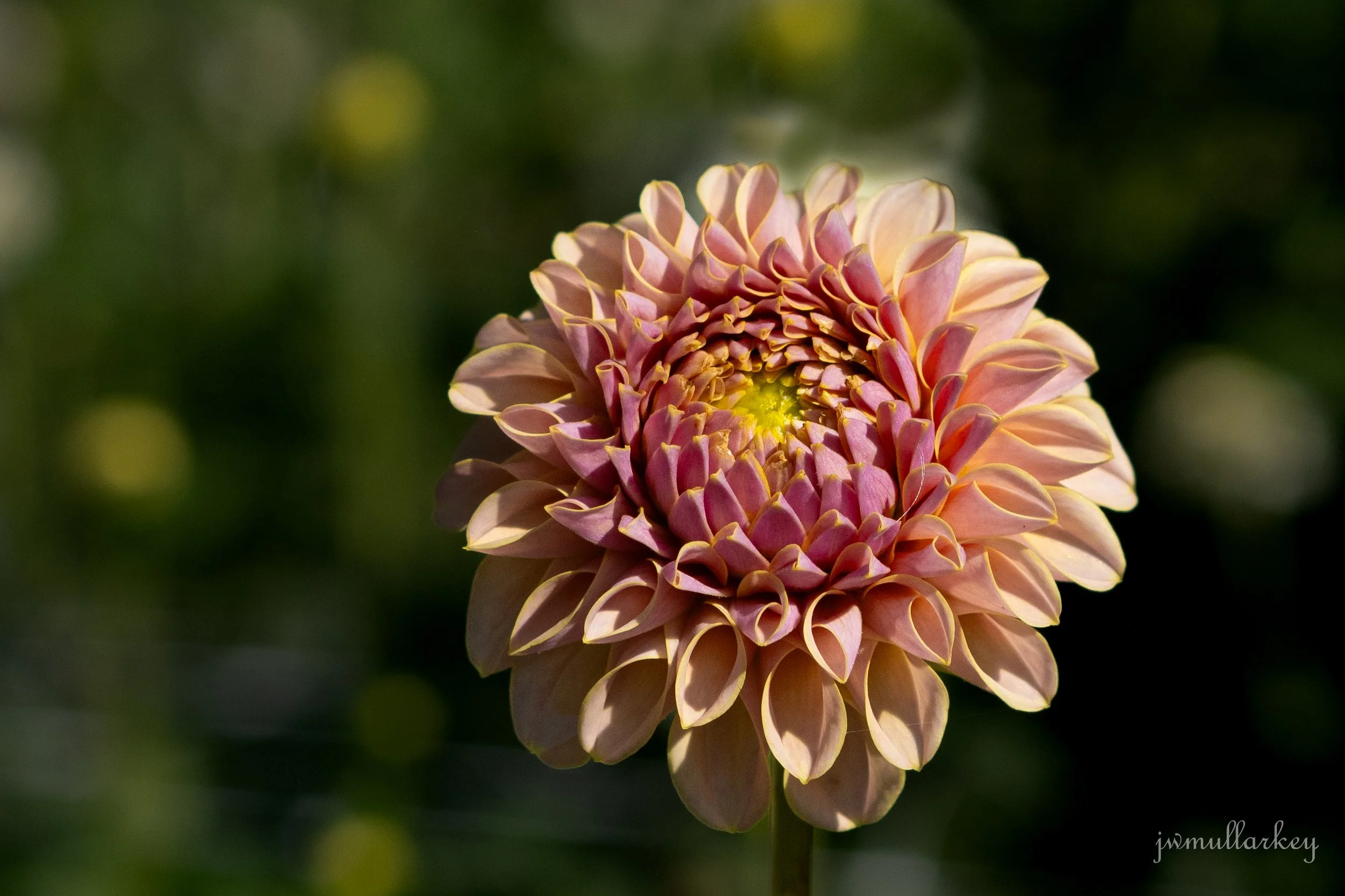 untitled (76 of 103).JPG