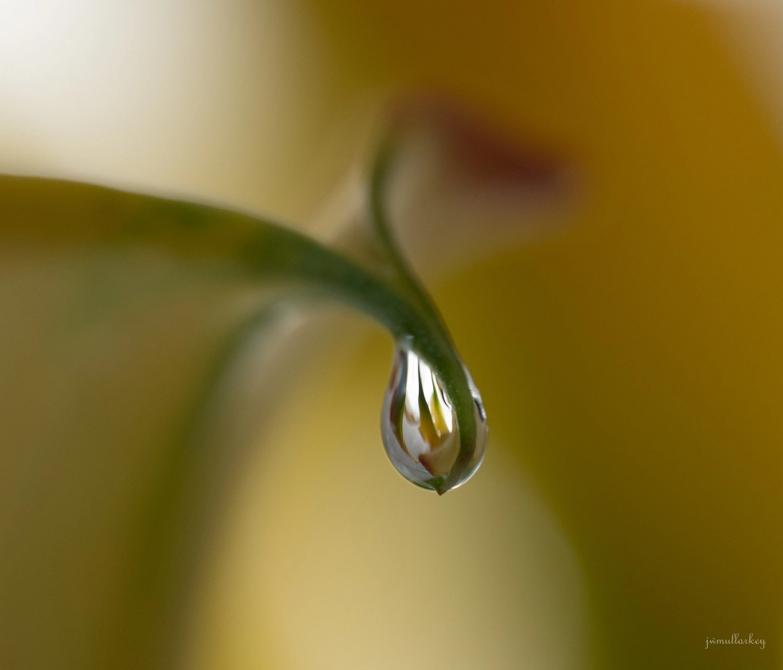 untitled (454 of 472).jpg