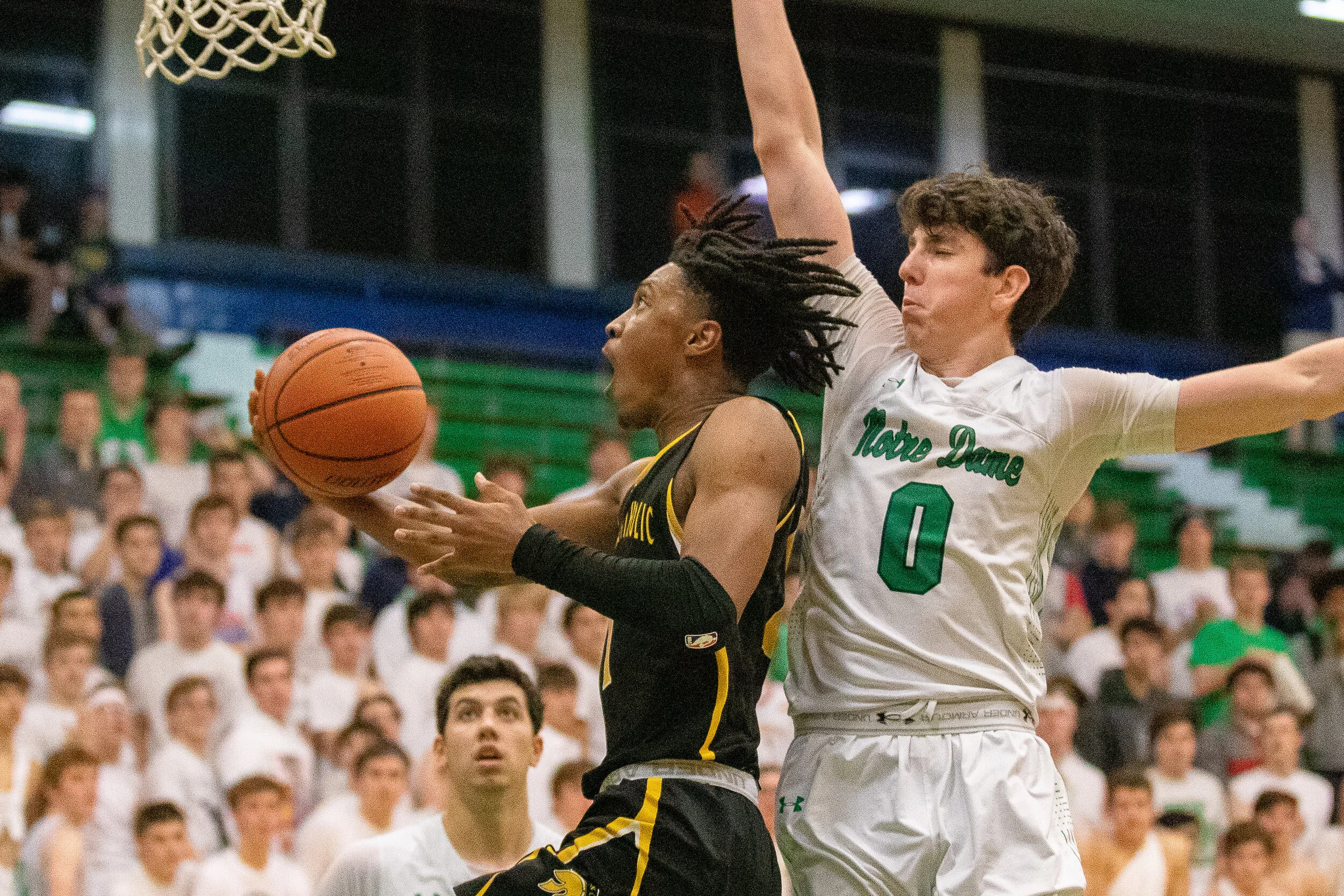 Troy D'Amico #5
