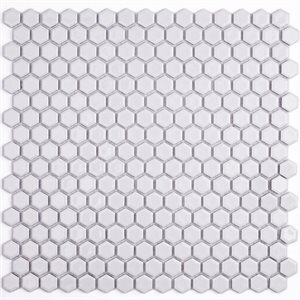 Ceramic | Polished White Hex Penny 