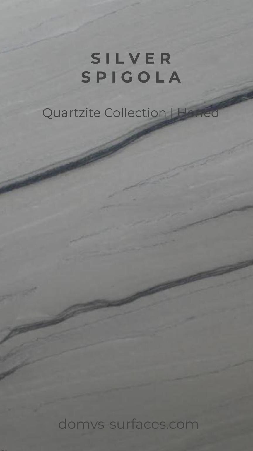 IGS Marble Silver Spigola Marble Slab DOMVS.jpg