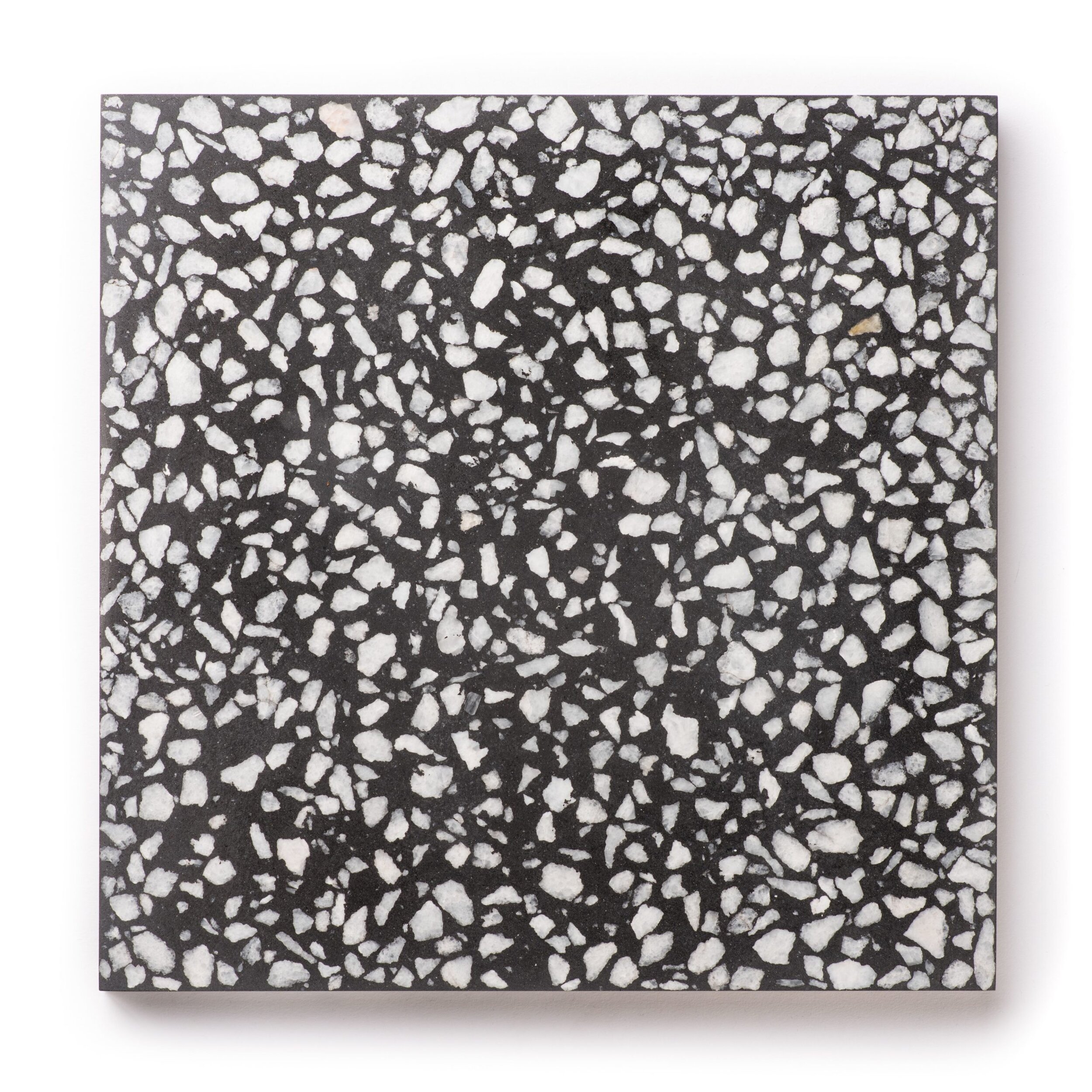 Nero Terrazzo 7.9" x 7.9" x 3/4