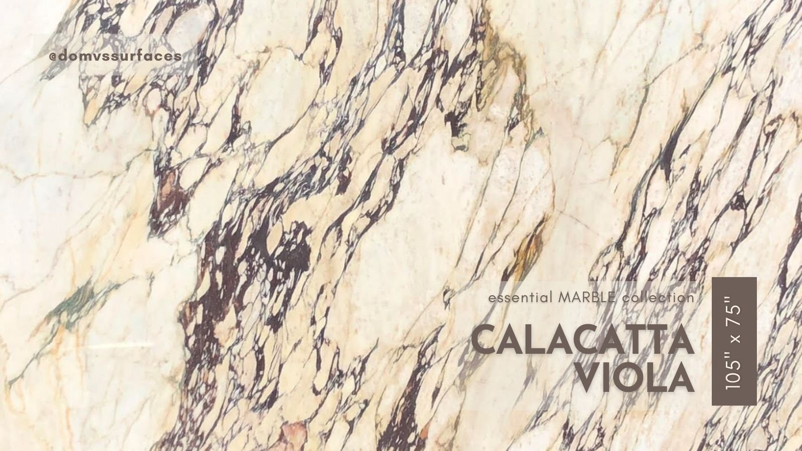 Calacatta Viola Marble Slab 105 x 75 2CMMB DOMVS SURFACES.jpg