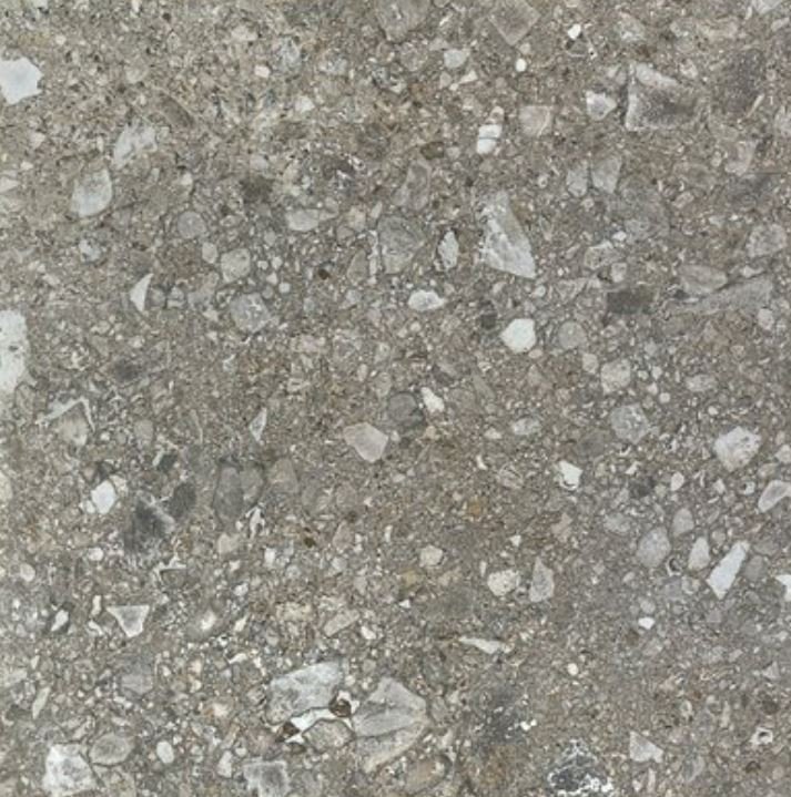 Etoupe Dk  Porcelain Terrazzo 