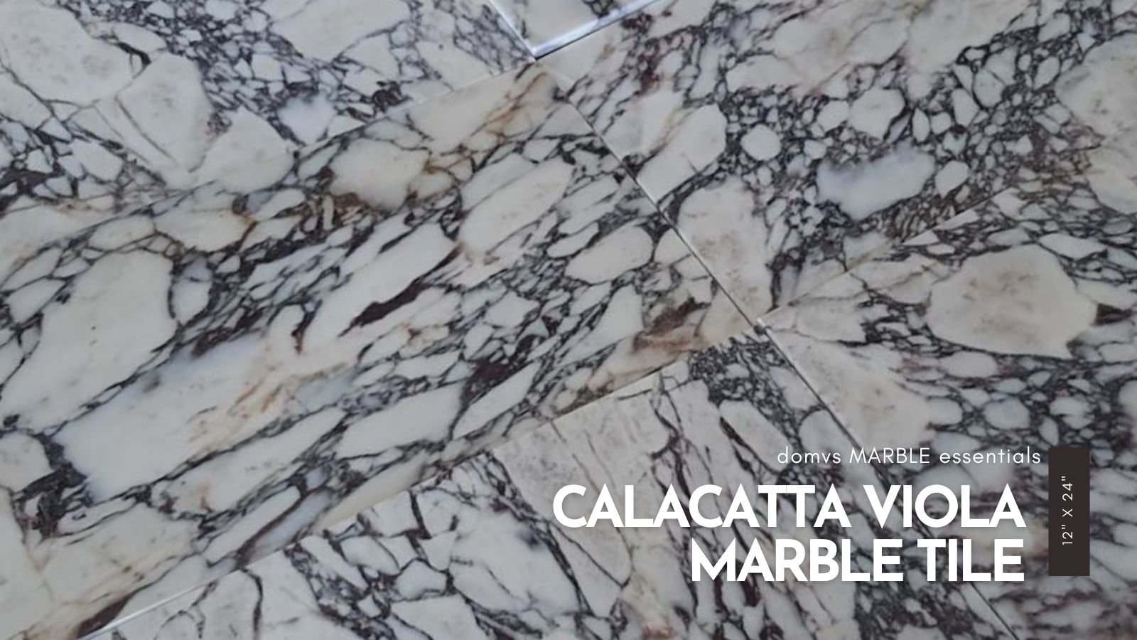 Calacatta Viola Marble Field Tile | 12" x 24" | Wall + Floor