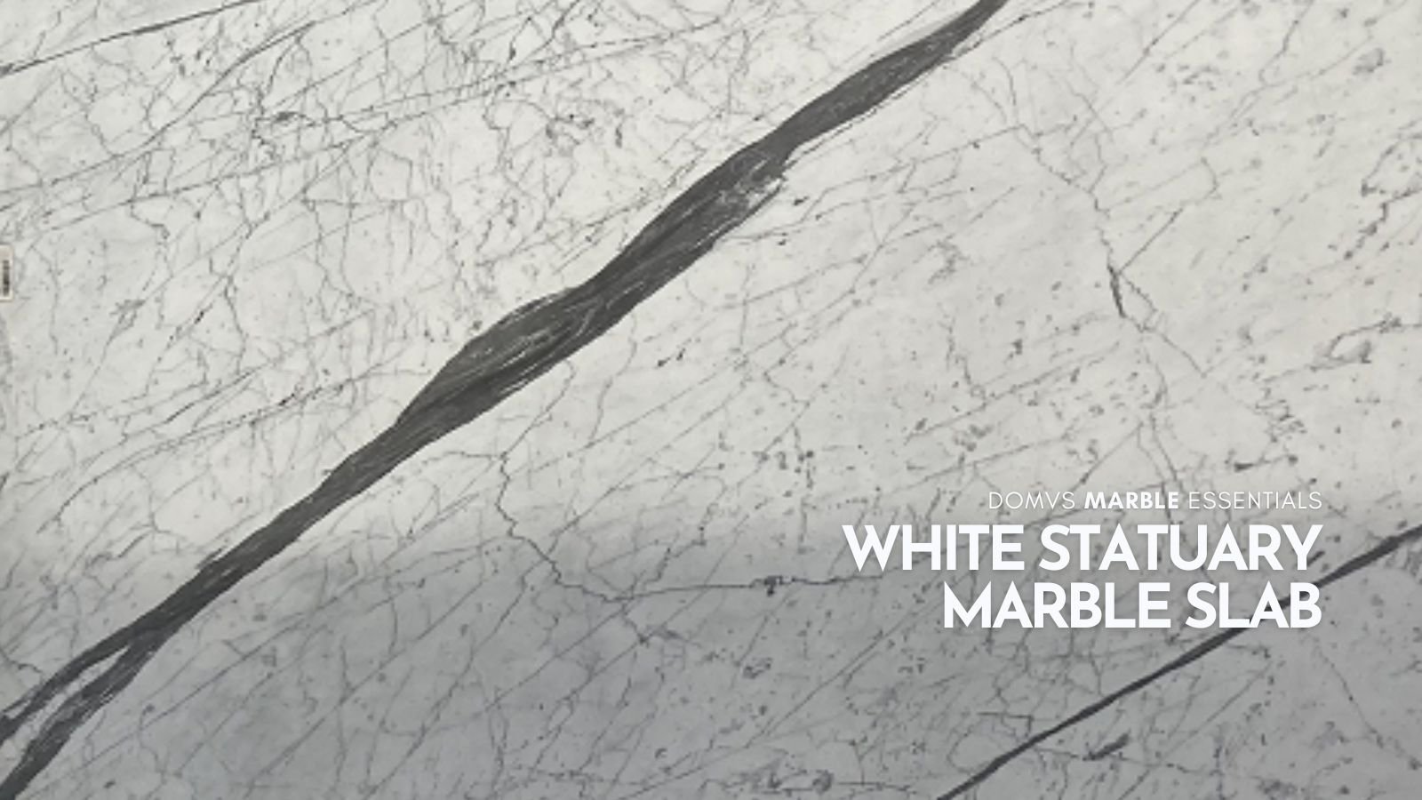 White Statuary Marble Slab | 2 CM