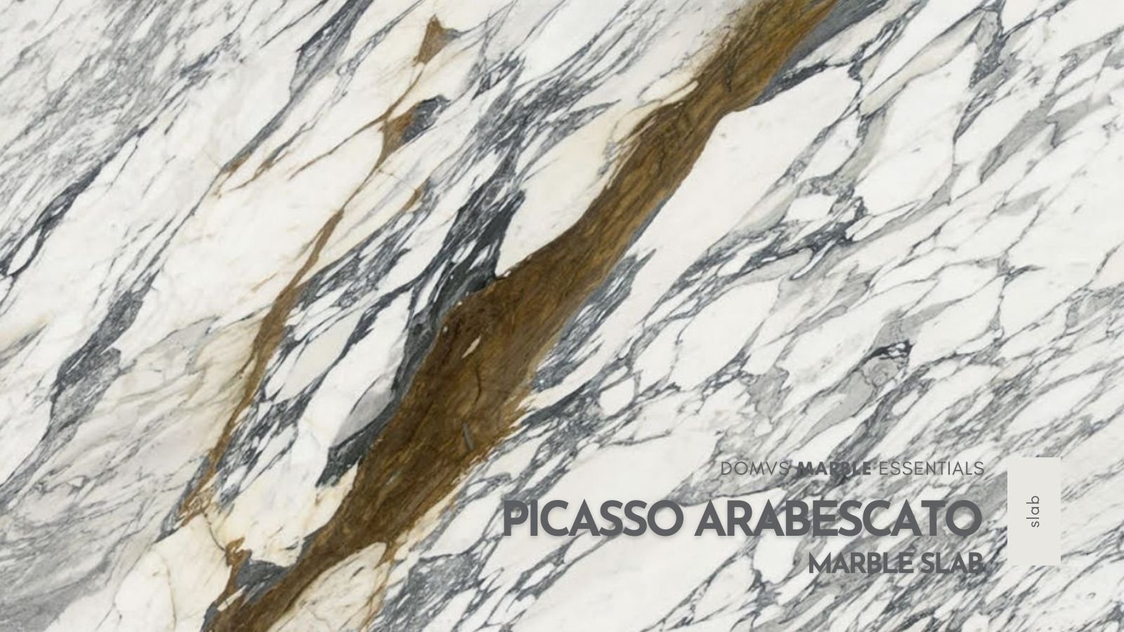 Picasso Arabescato Marble Slab F