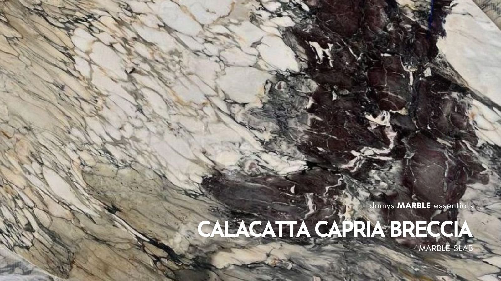 Calacatta Capria Breccia Marble Slab