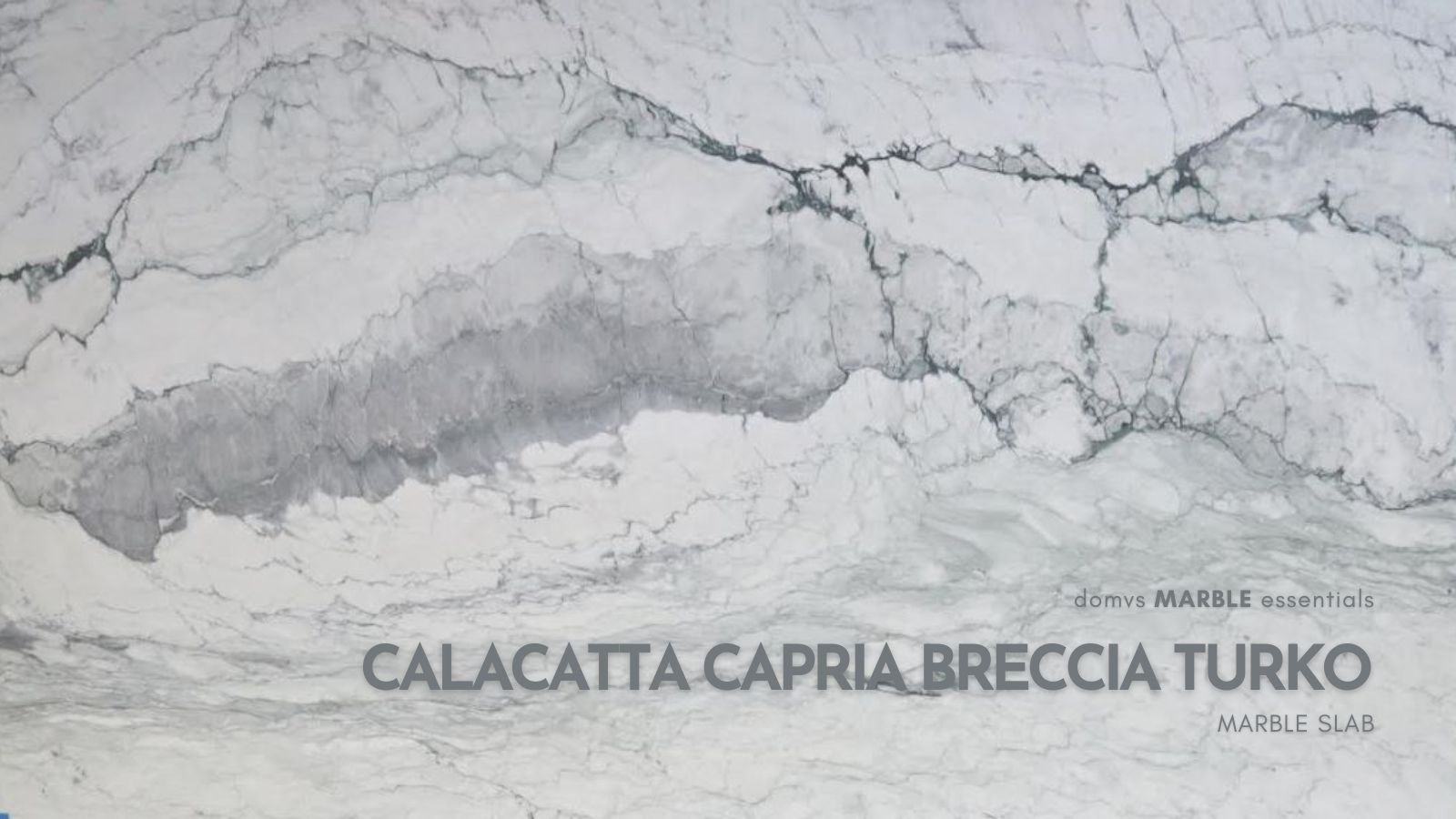 Calacatta Capria Breccia Turko Marble Slab