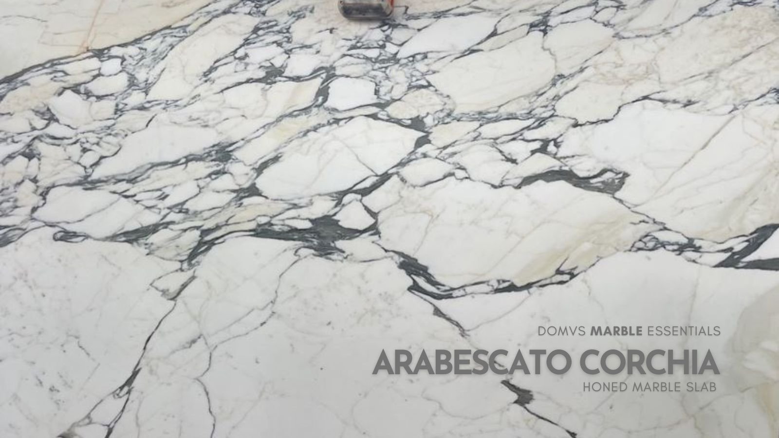 Arabescato Corchia Marble Slab