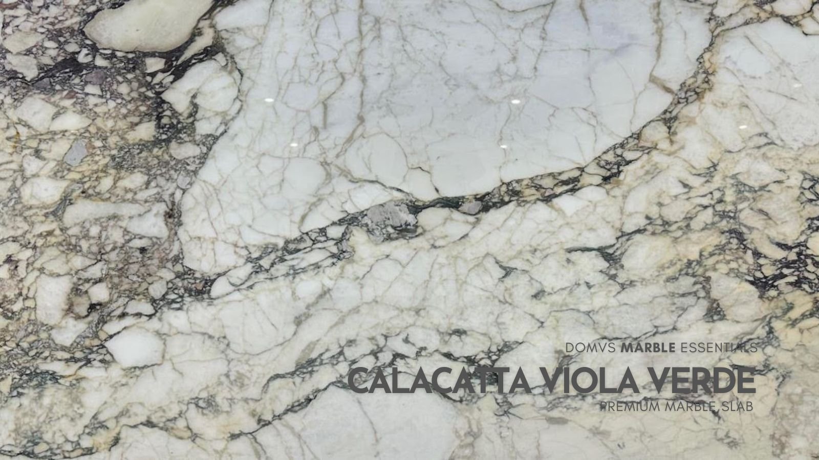 CALACATTA VIOLA MARBLE SLAB POLISHED 124 X 70 X 2CMRRIV DOMVS SURFACES.jpg