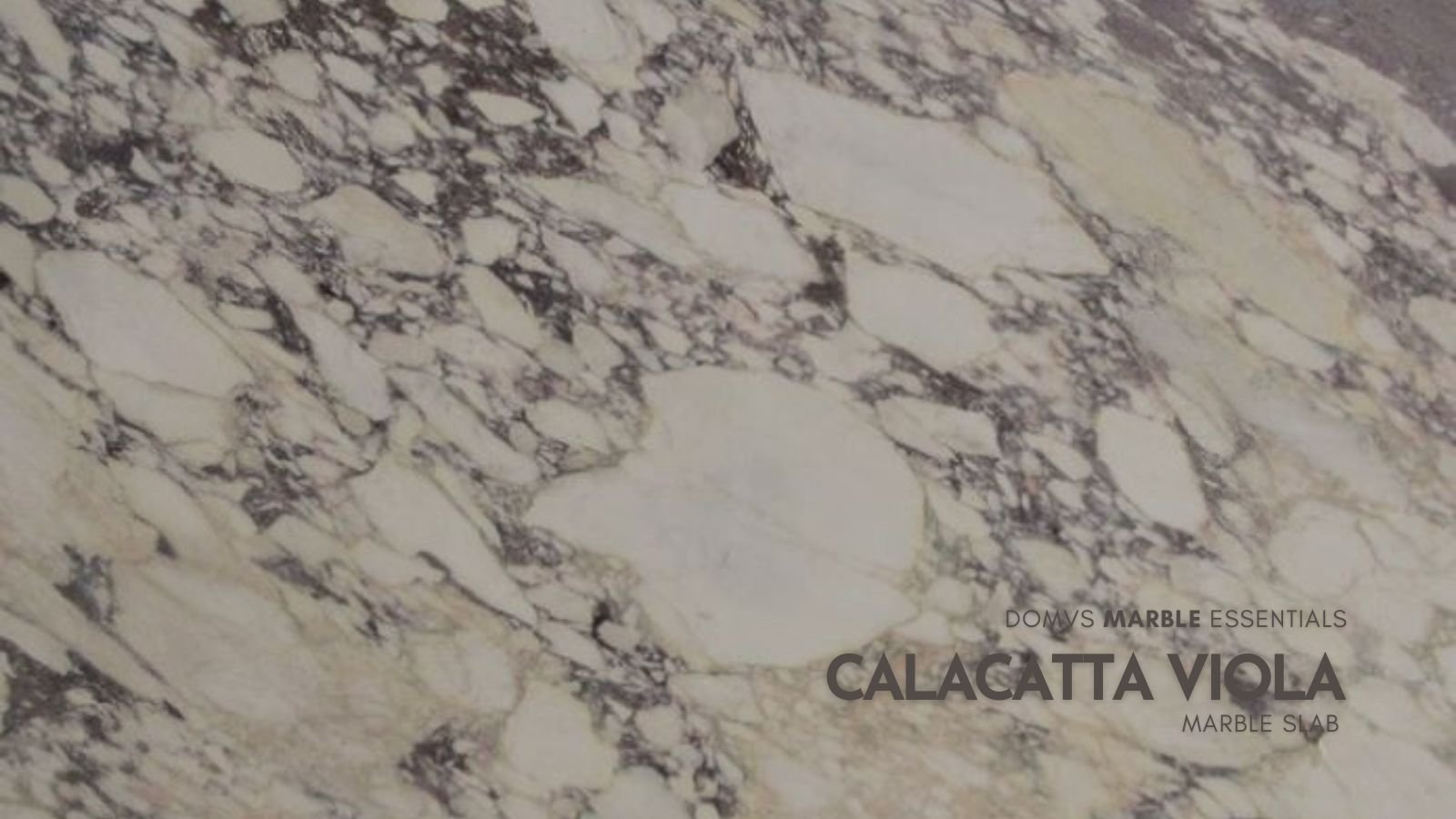 CALACATTA-VIOLA-MARBLE-SLAB-137-X-74-X-2CMCC DOMVS SURFACES.jpg