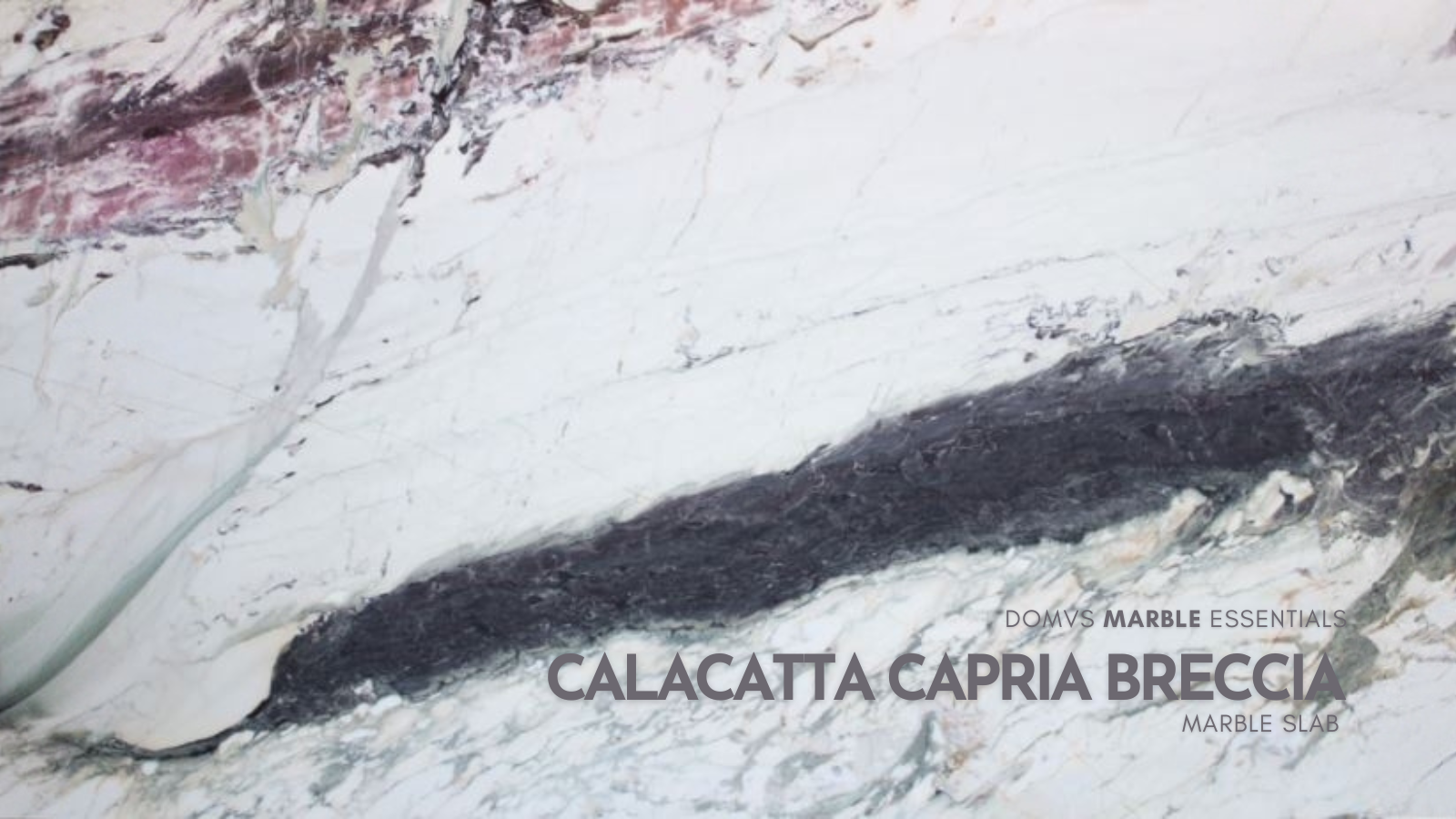 Calacatta Capria Breccia Marble Slab