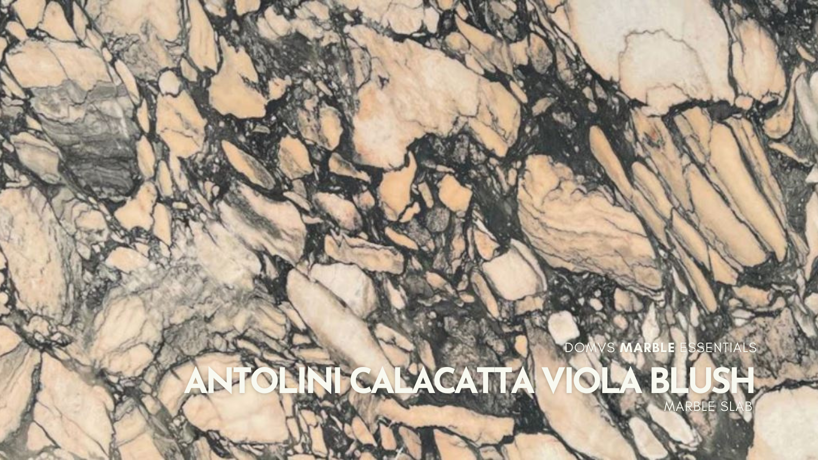 Calacatta Viola Blush Marble Slab