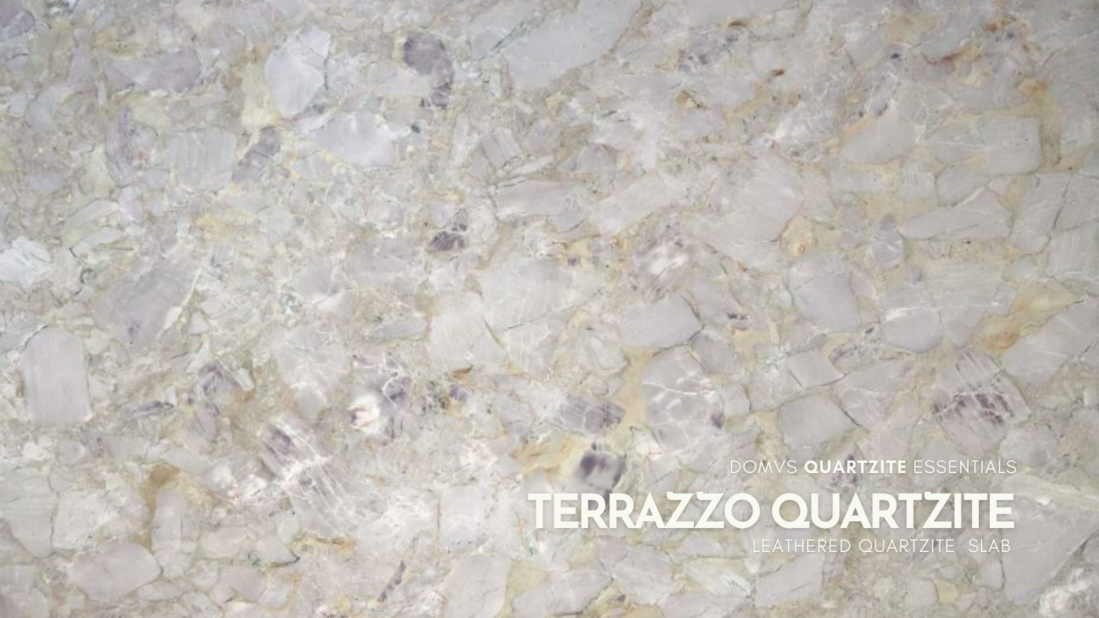 Terrazzo Quartzite Slab