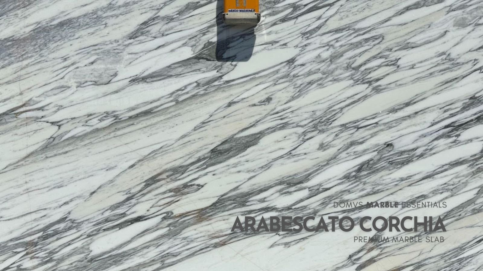 Arabescato Corchia Marble Slab
