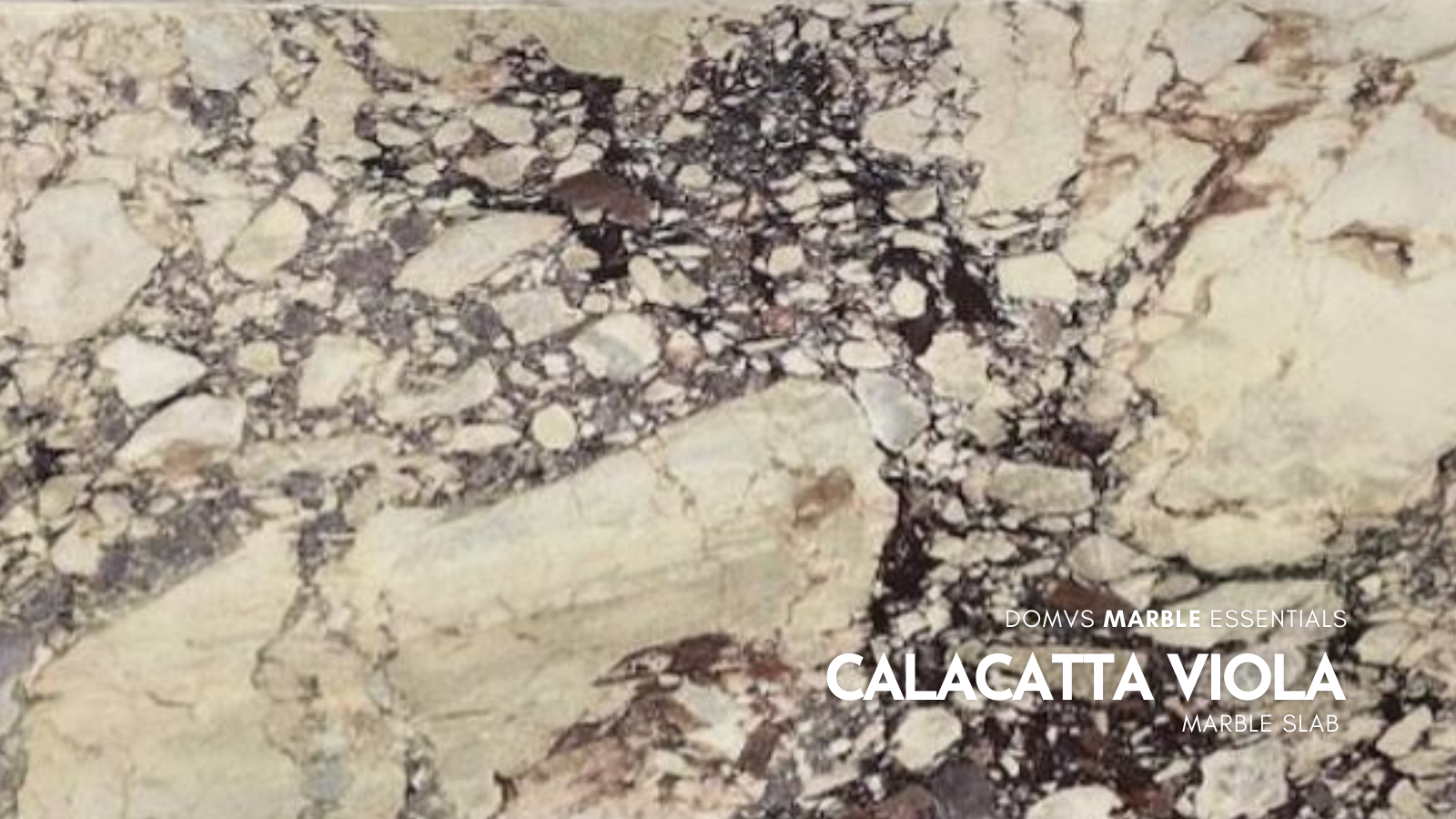 Calacatta Viola Premium Marble Slab