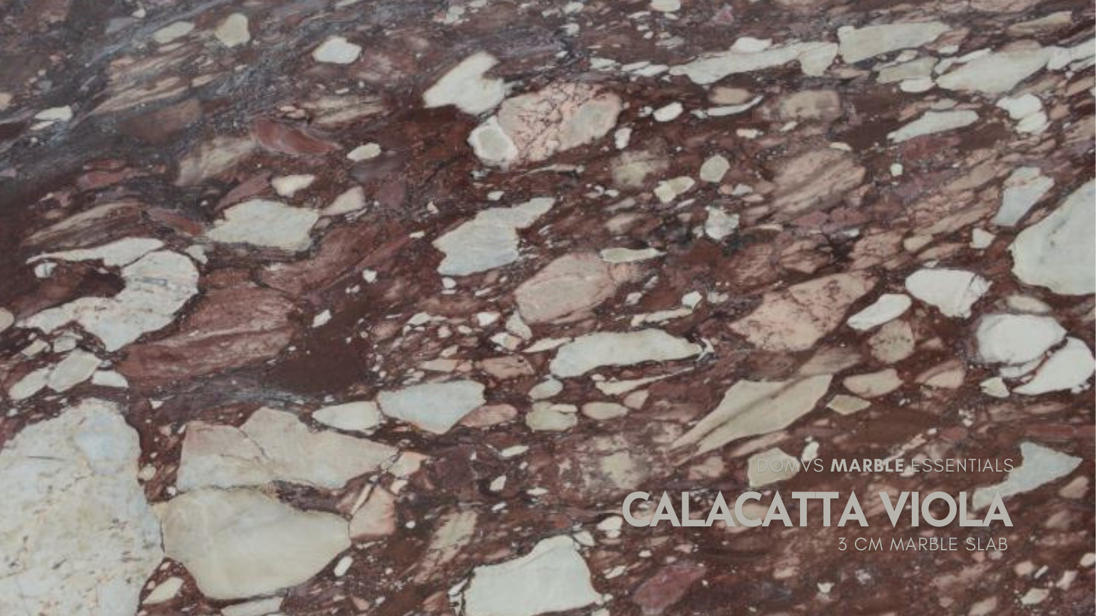 3 CM Calacatta Viola Marble slab