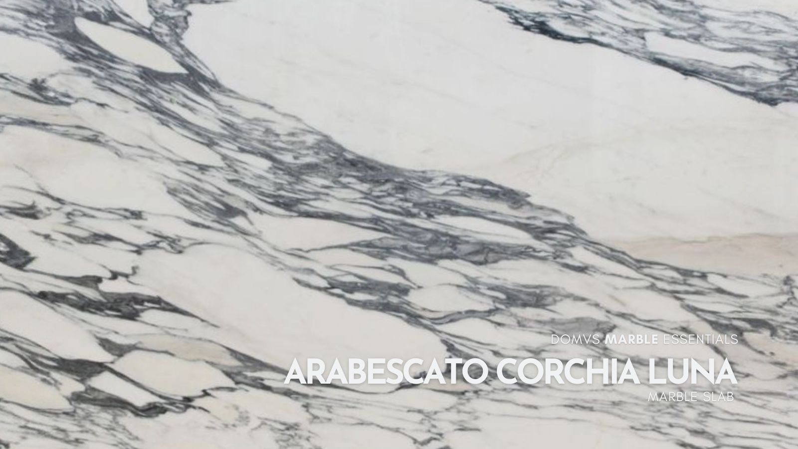 ARABESCATO CORCHIA LUNA MARBLE SLAB 2CMCCQ7LA DOMVS SURFACES.jpg