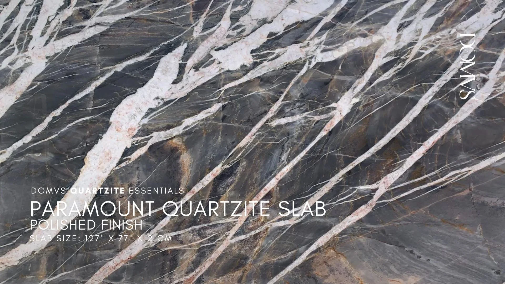 PARAMOUNT QUARTZITE 126 X 78 X 2CMLJJVII.V DOMVS SURFACES.jpg