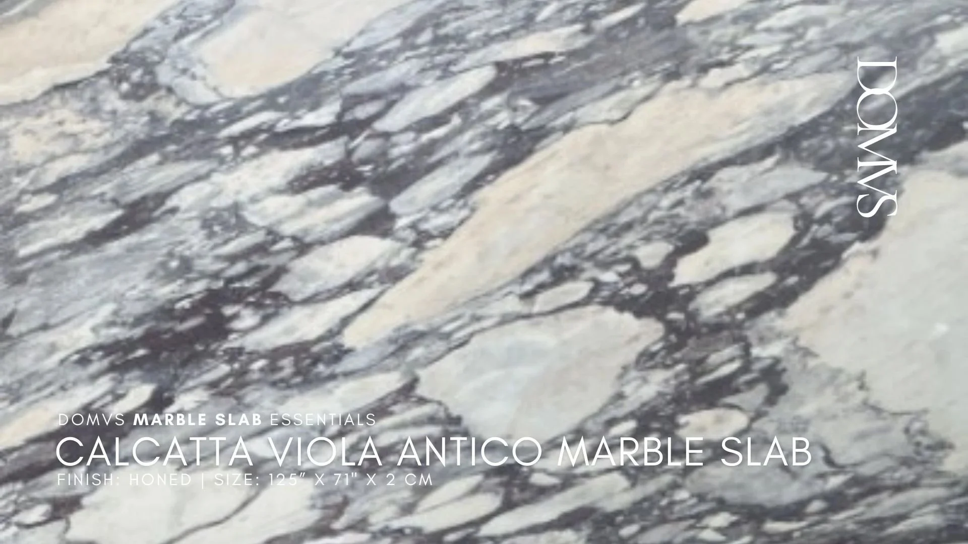 Calcatta Viola Antico Marble Slab — The Italian Stone Built for Luxury Commercial Surfaces