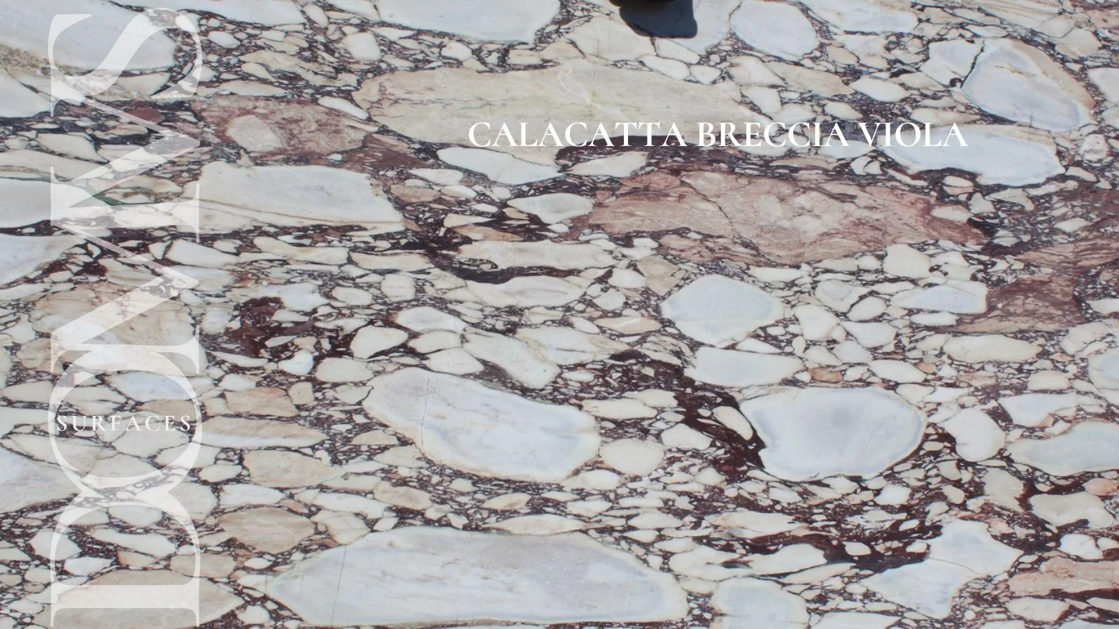 Calacatta Viola Premium Marble — DOMVS Surfaces
