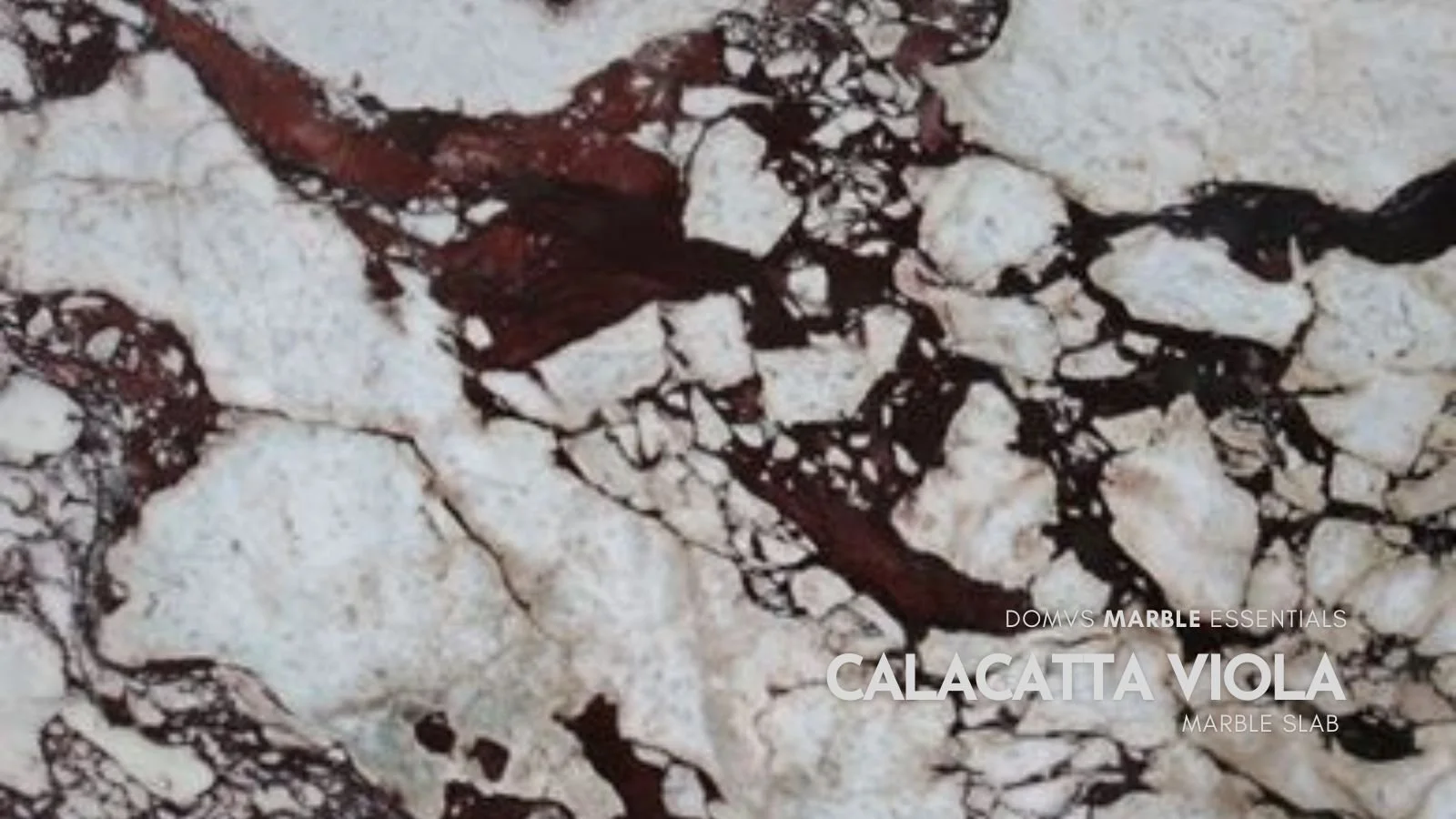 Calacatta Viola Premium Marble Collection - In Stock Now. We Ship ...