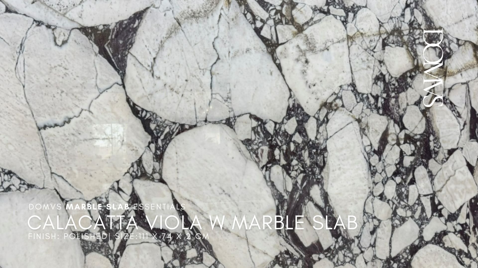 Calacatta Viola Marble Slab for Hospitality, Retail, Commercial and High End Residential Project. Ships Nationwide!