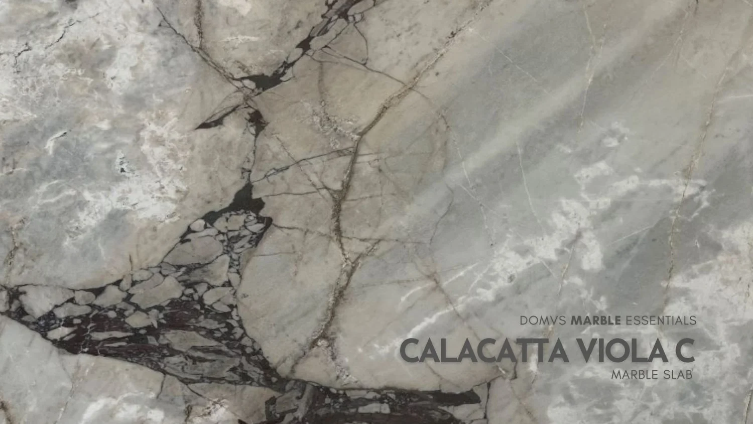 Calacatta Viola Premium Marble Collection - In Stock Now. We Ship ...