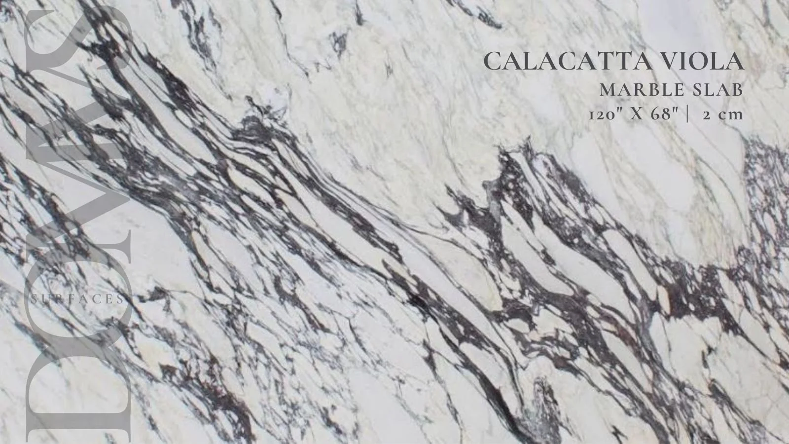 Calacatta Viola Premium Marble Slab, Tile & Mosaic — DOMVS Surfaces