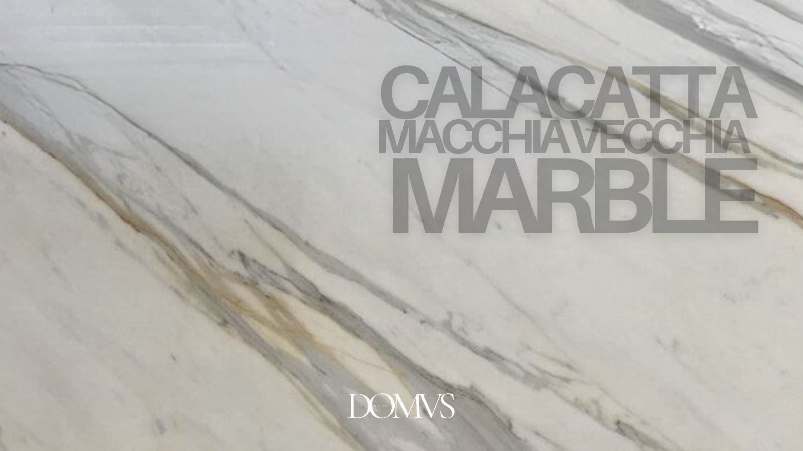 Designing Luxurious Kitchens with Calacatta Macchia Vecchia Marble