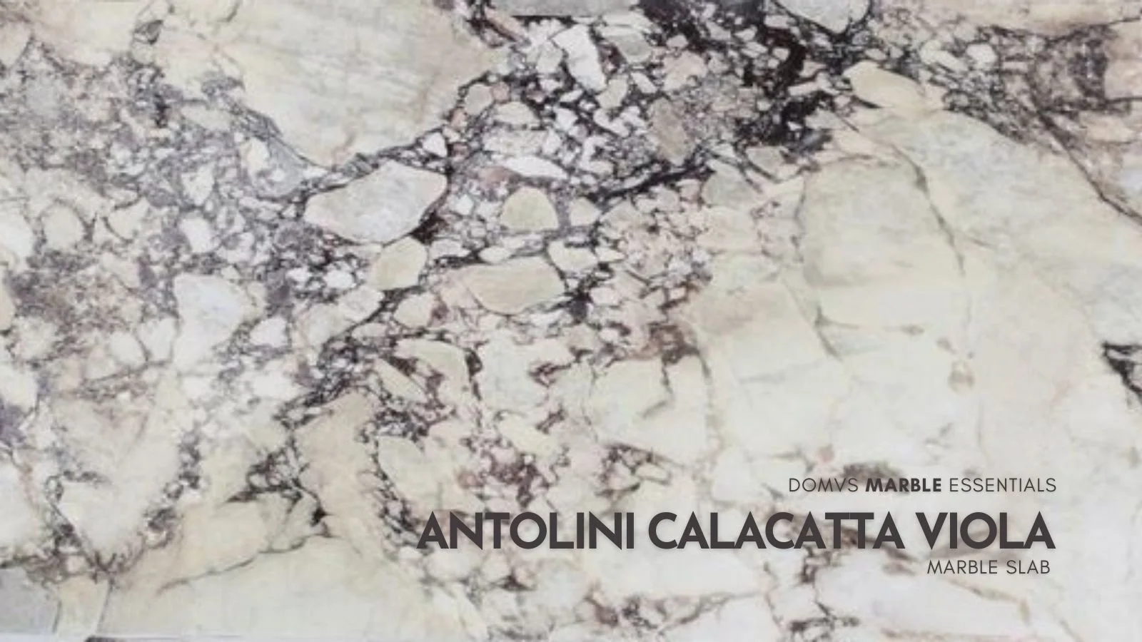 Calacatta Viola Premium Marble Collection - In Stock Now. We Ship ...