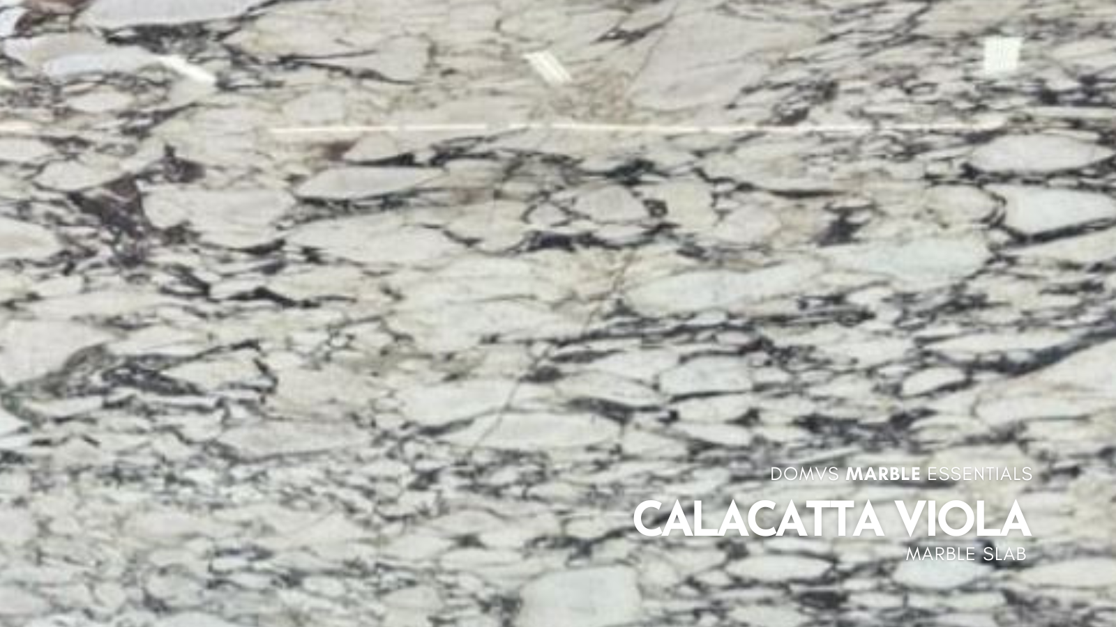 Calacatta Viola Premium Marble Collection - In Stock Now. We Ship ...