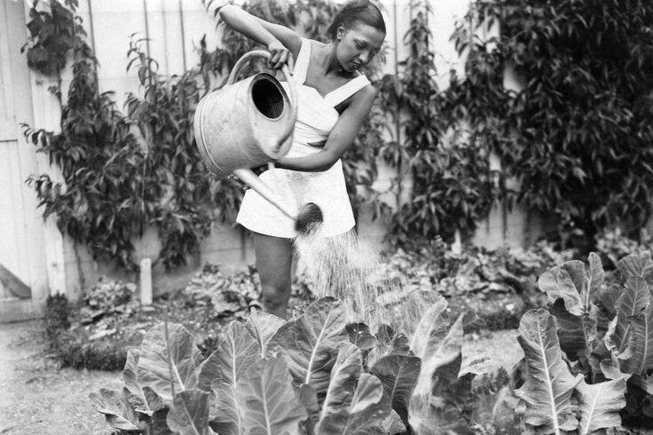 AUGUST 21 | Smithsonian Anacostia Community Museum presents Growing Community: Summer Harvest