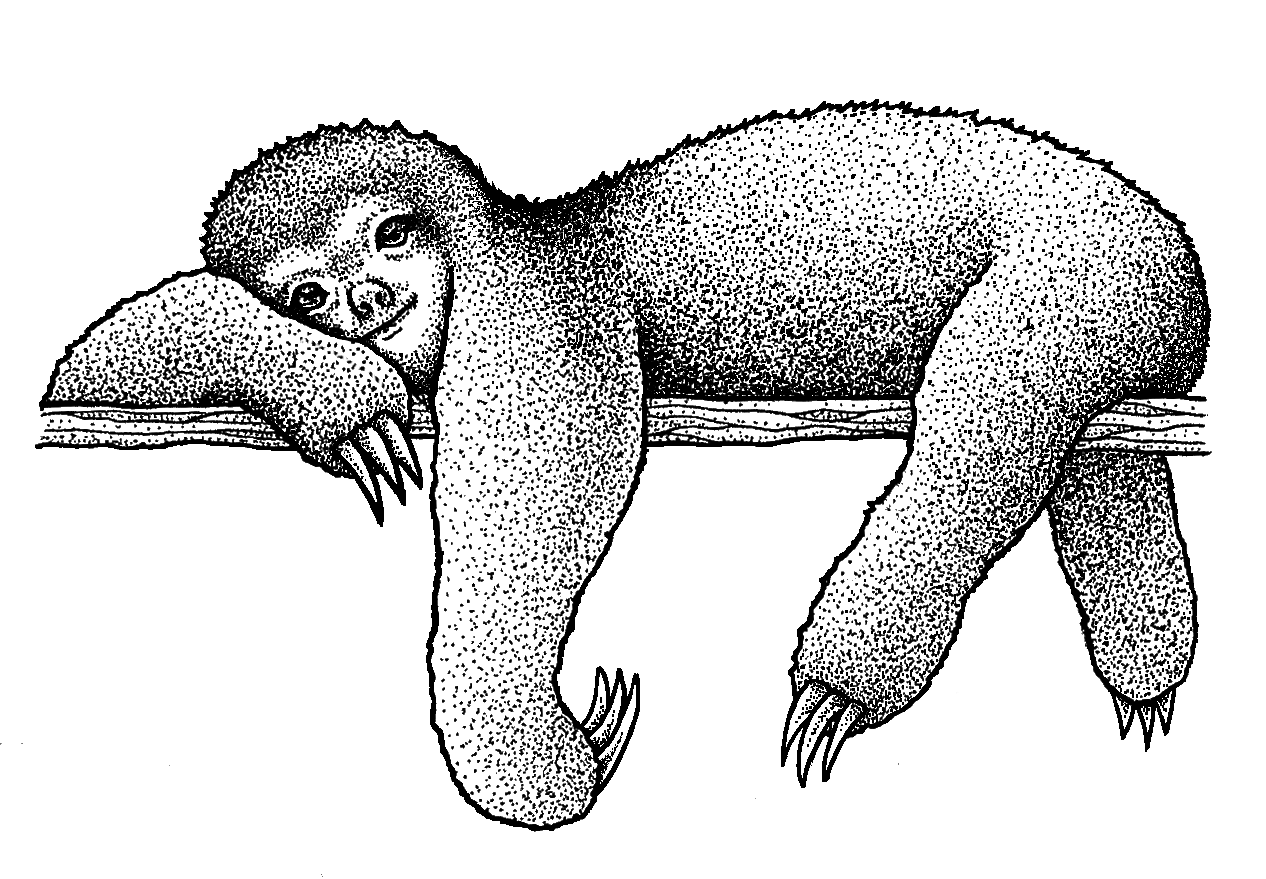 BlackSloth.png