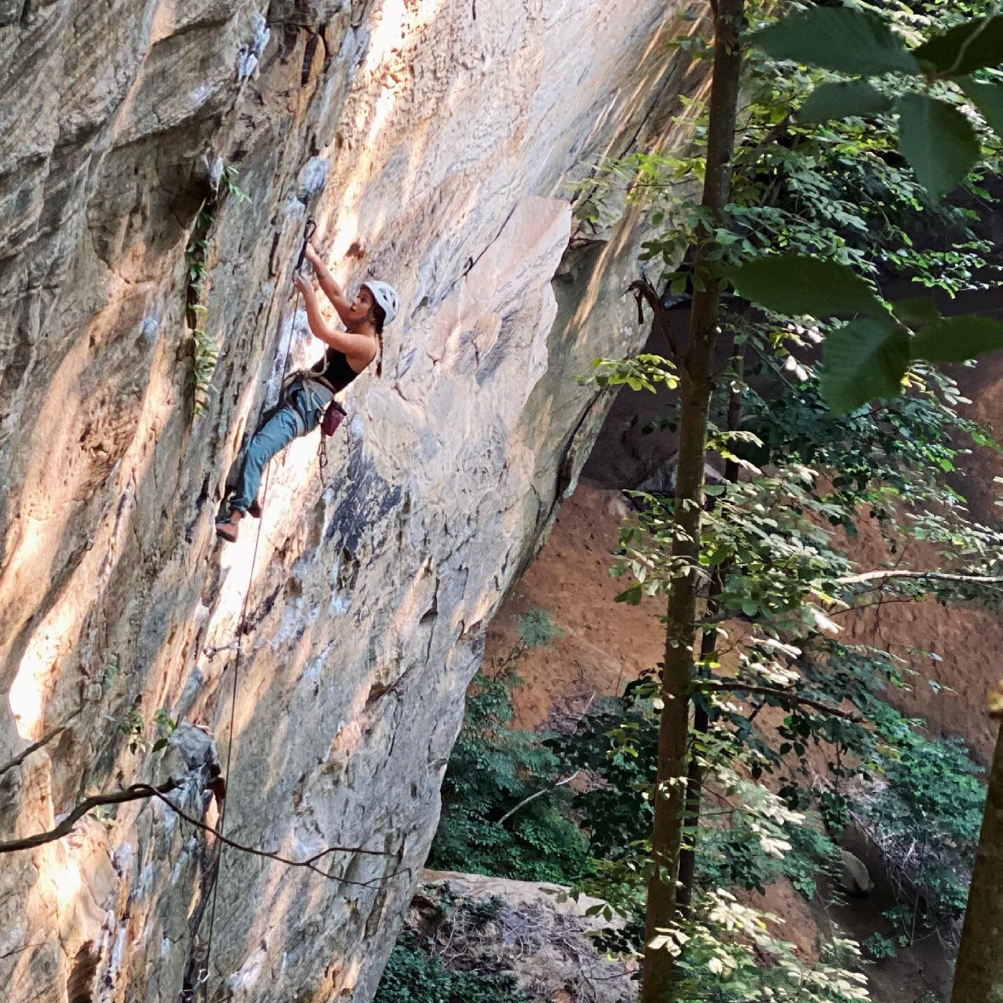 Caitlin/A Brief History of Climb/The Gallery/ @grippiguides🦥 #bedrockrrg #wolfcounty