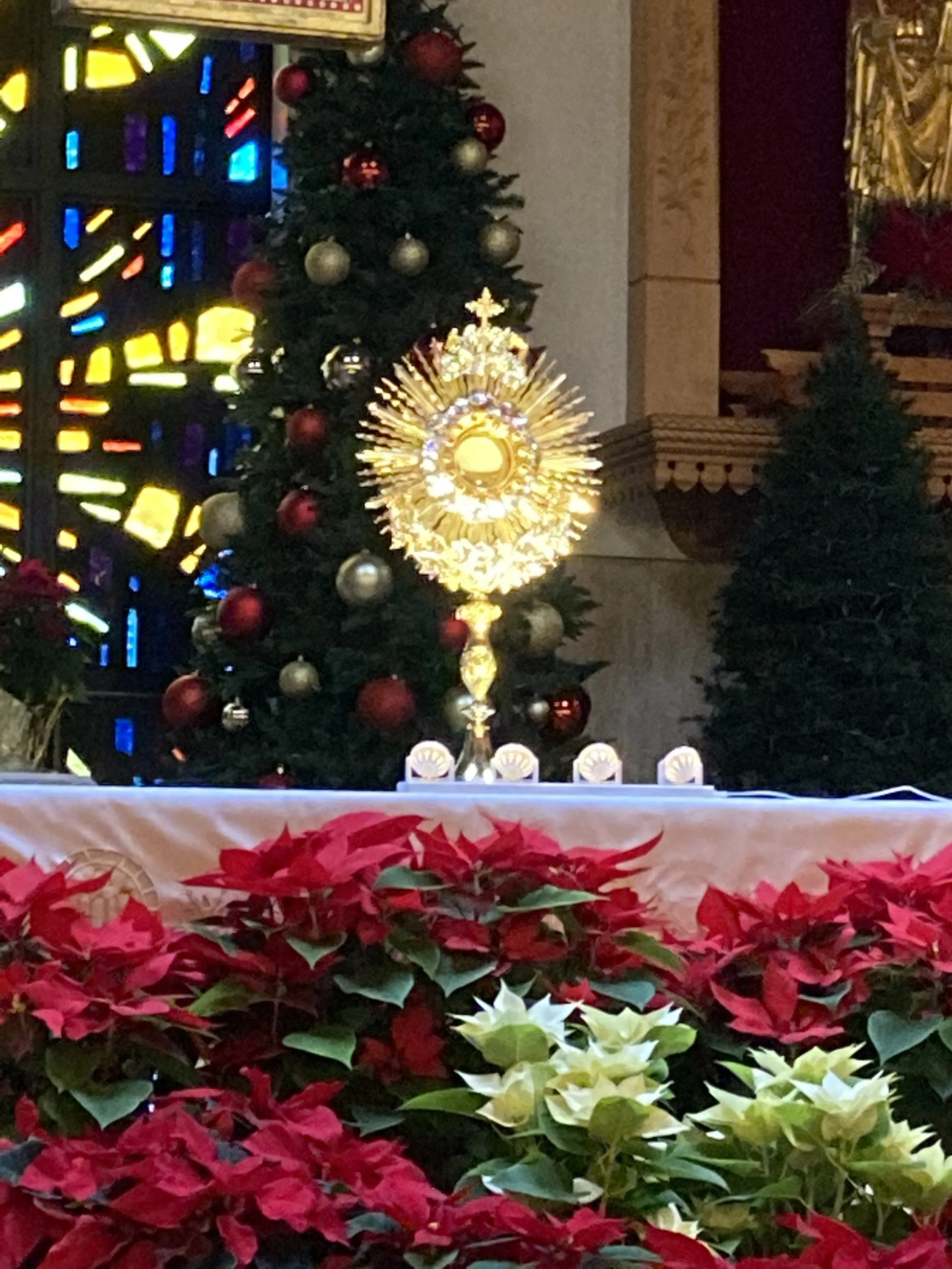 OCDS Meeting at 5 pm