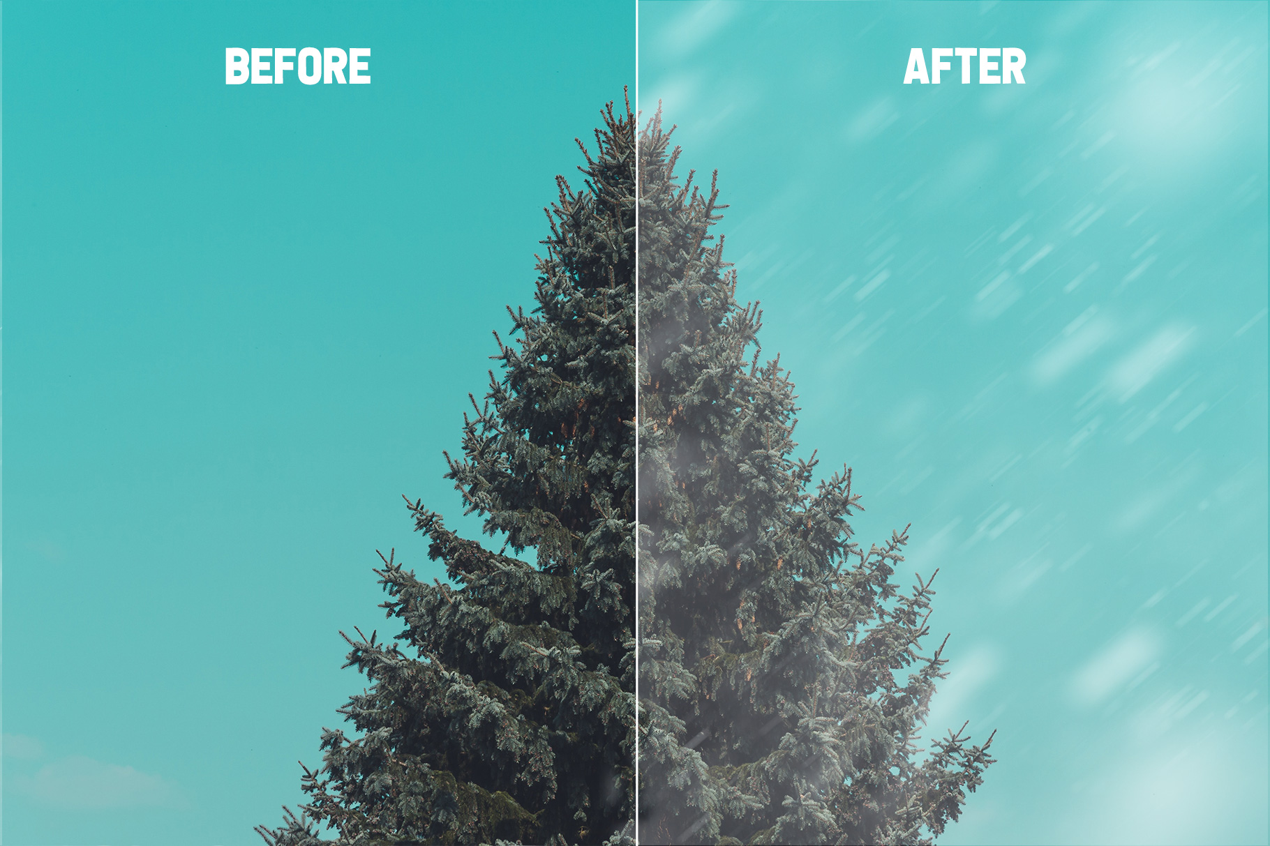 MakeItSnowBeforeAfter02.jpg