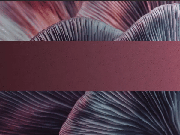 40 FREE Photoshop Classes | The Photoshop Virtual Summit 5