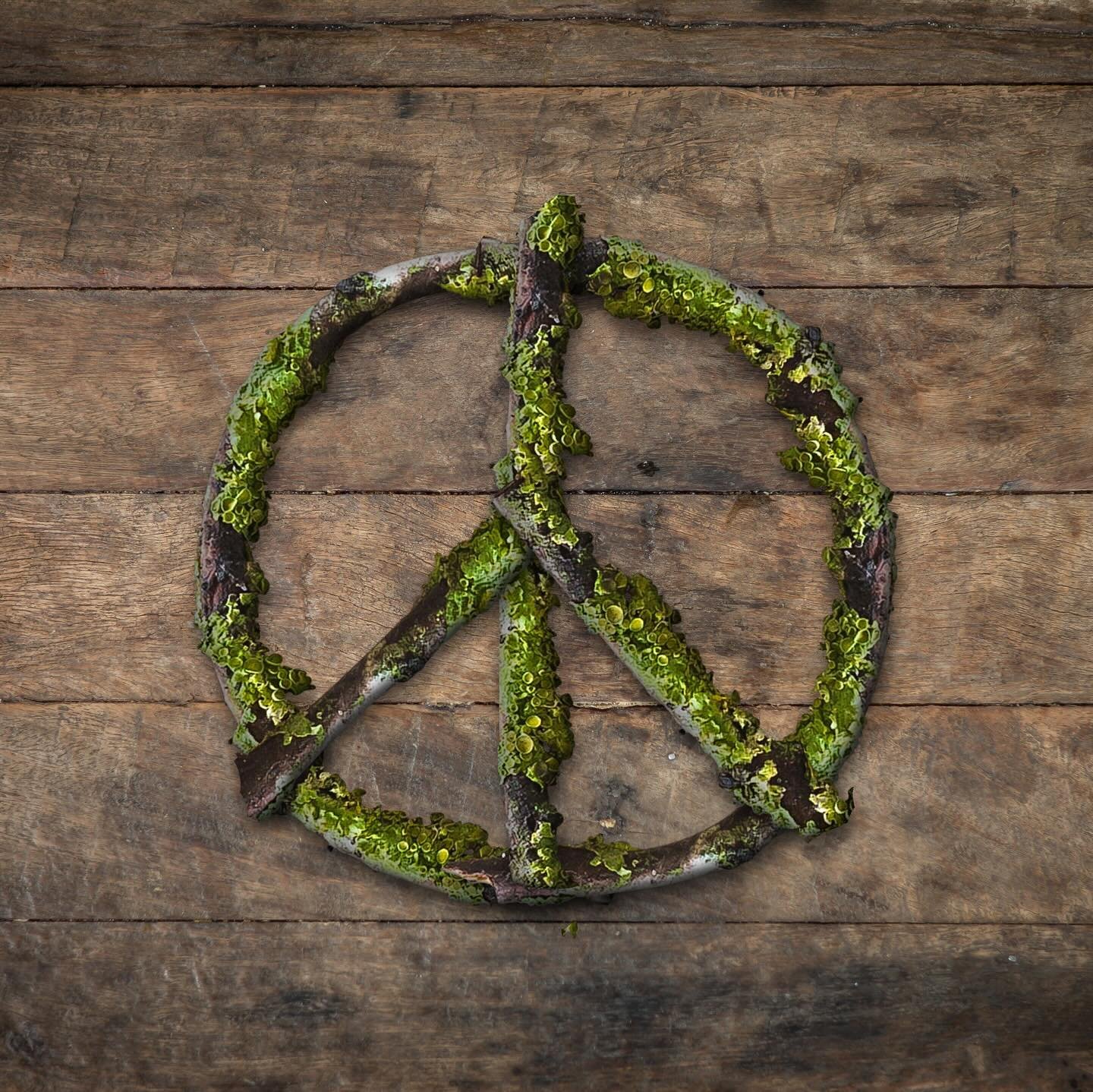 That time I taught a livestream and was building a peace symbol from a twig&hellip;. But actually built the Mercedes logo by mistake (swipe). 🤪🤣🤣🤣 Thanks for keeping me humble, all! What a great laugh!