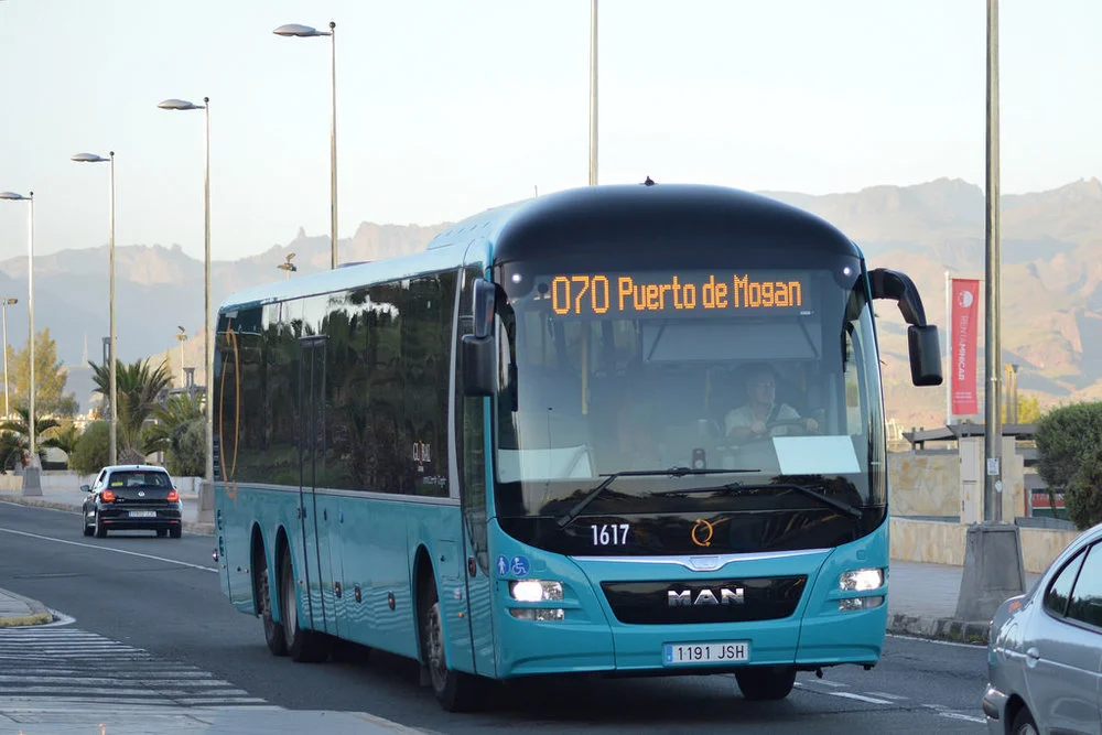 buss.jpg