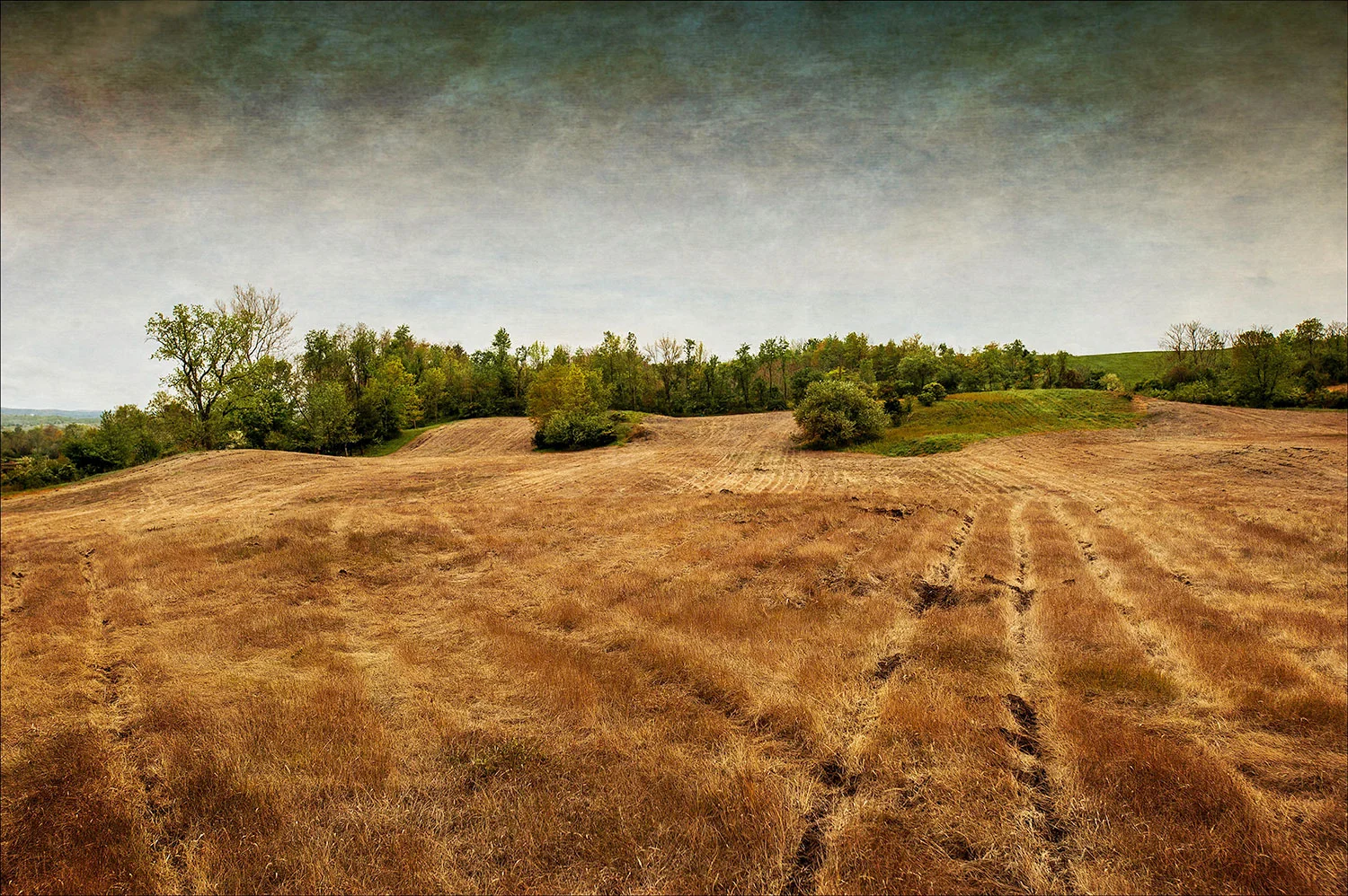 farm_fields-9.jpg