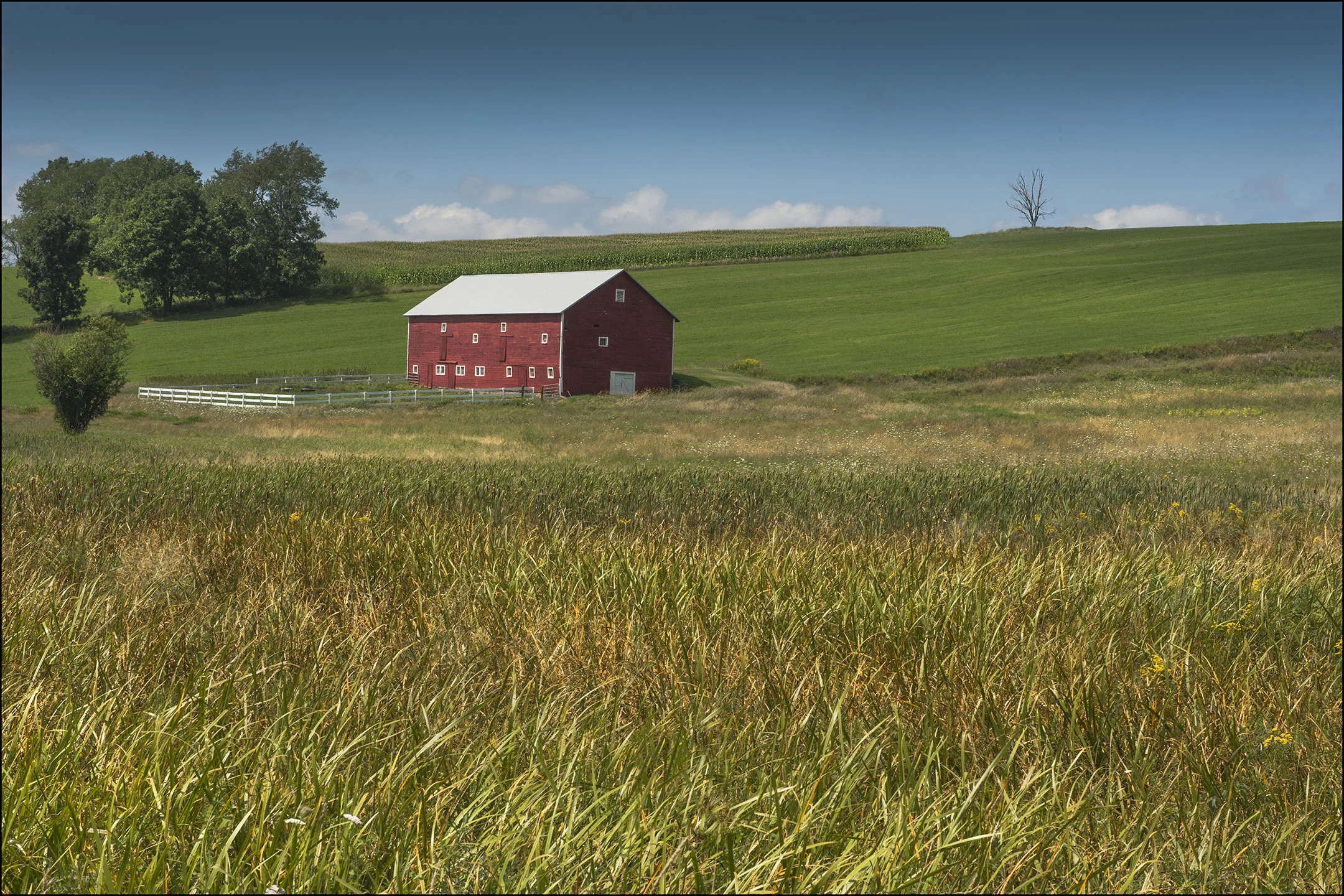 fields_081915_0068.jpg