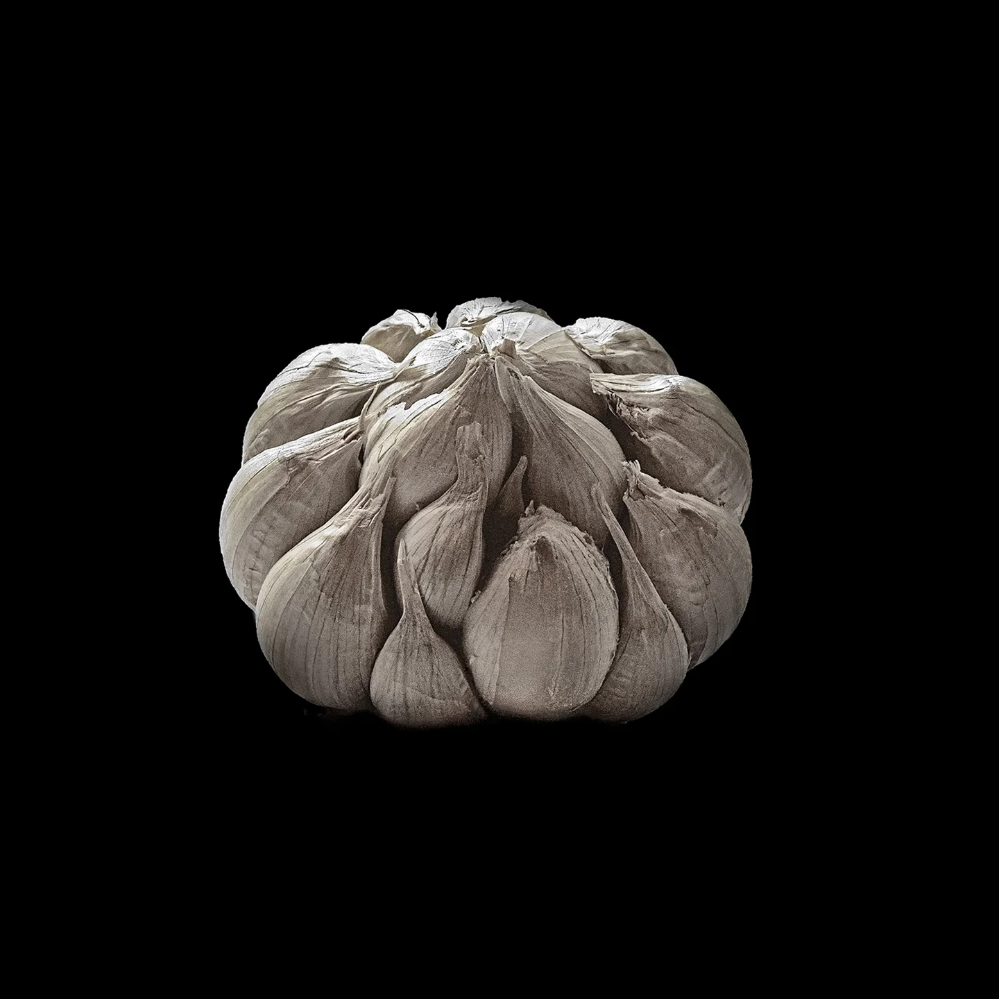 garlic.jpg